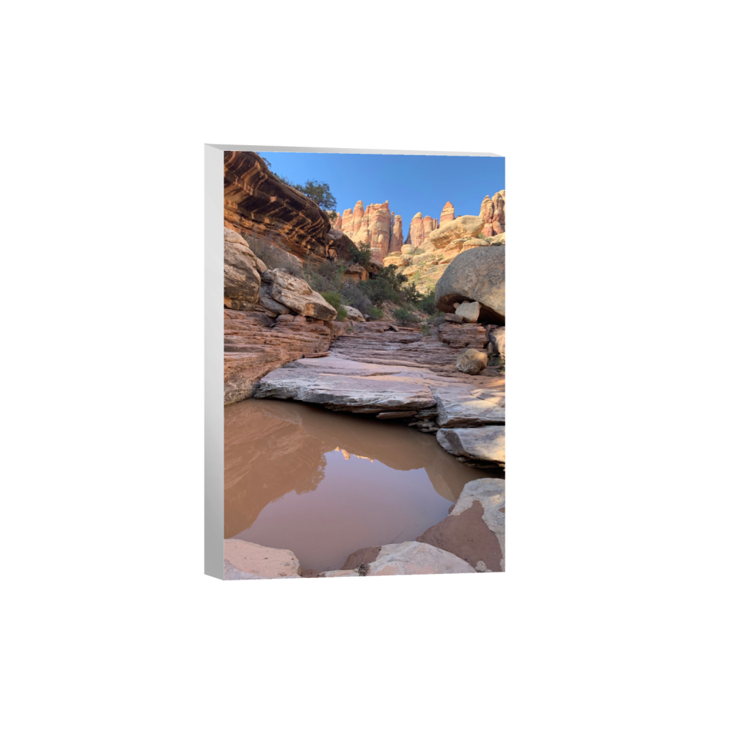 ptq_7_3_168_0_2688_4032_0_false_ffffff_0_0_.png