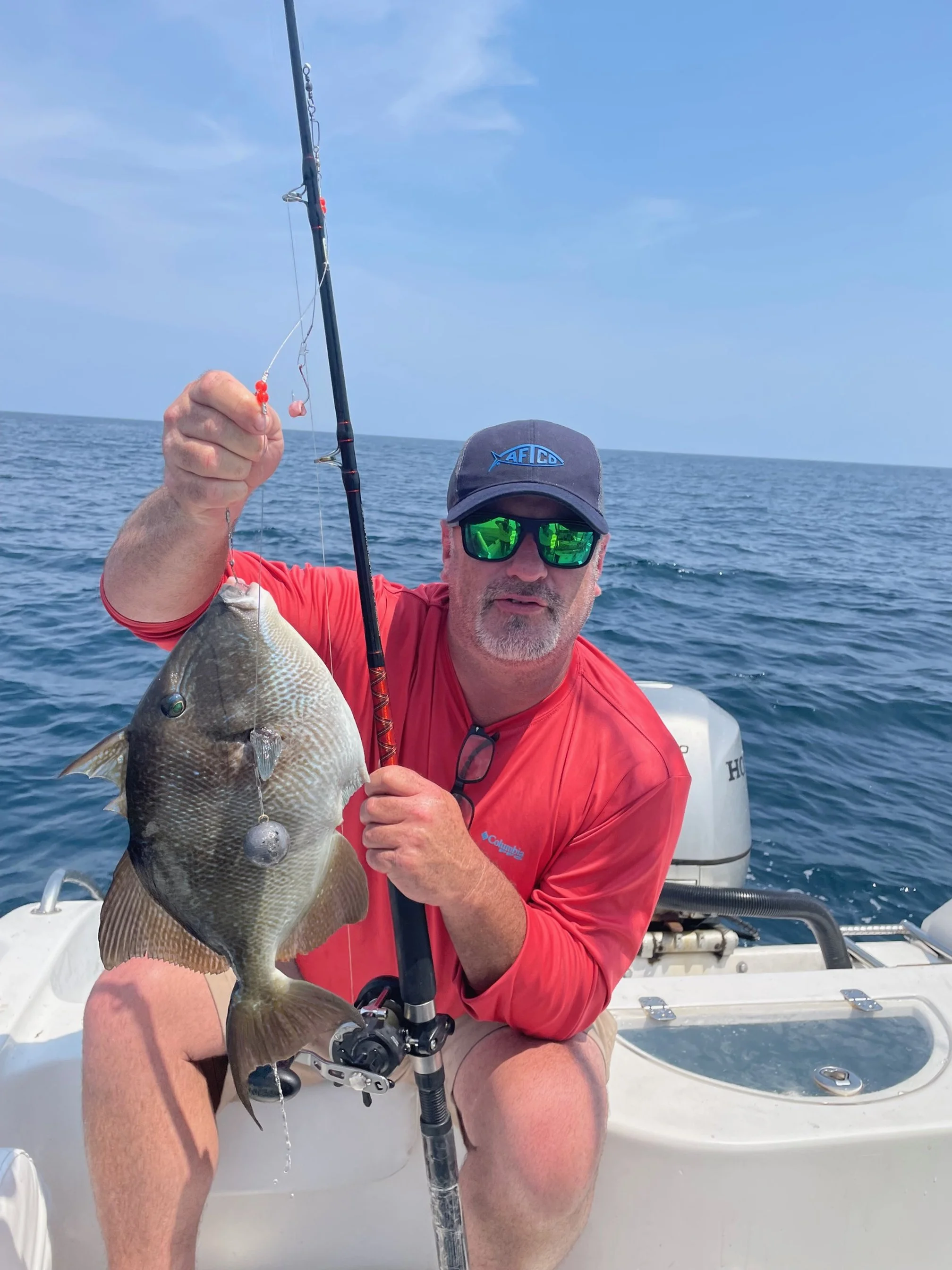 Brian Trigger fish.jpg