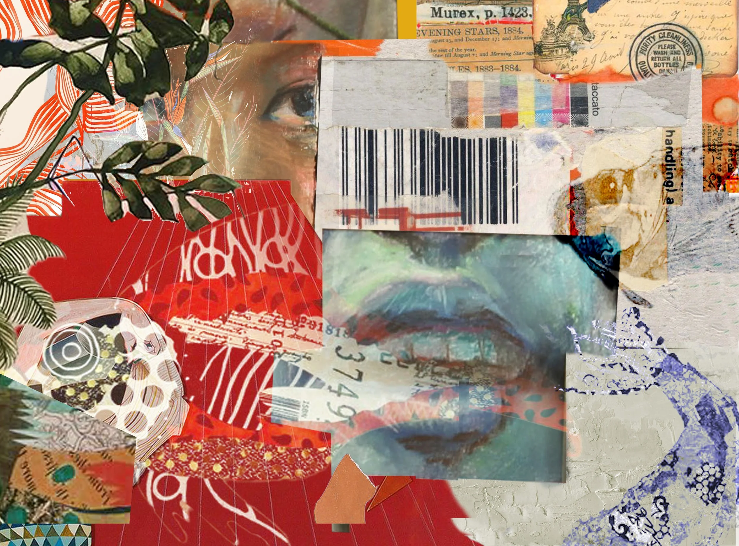 collage of face22222.jpg