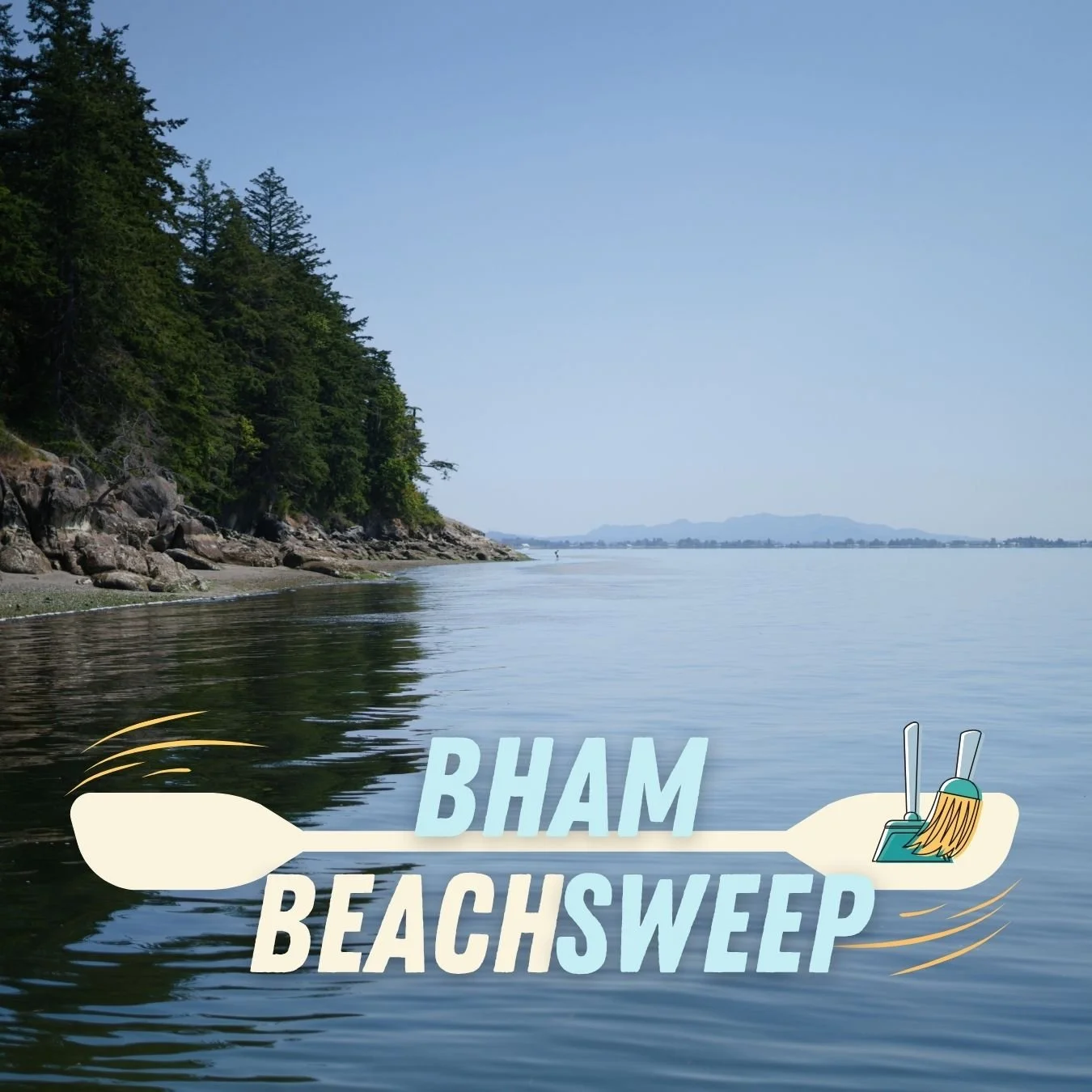 Beach Sweep