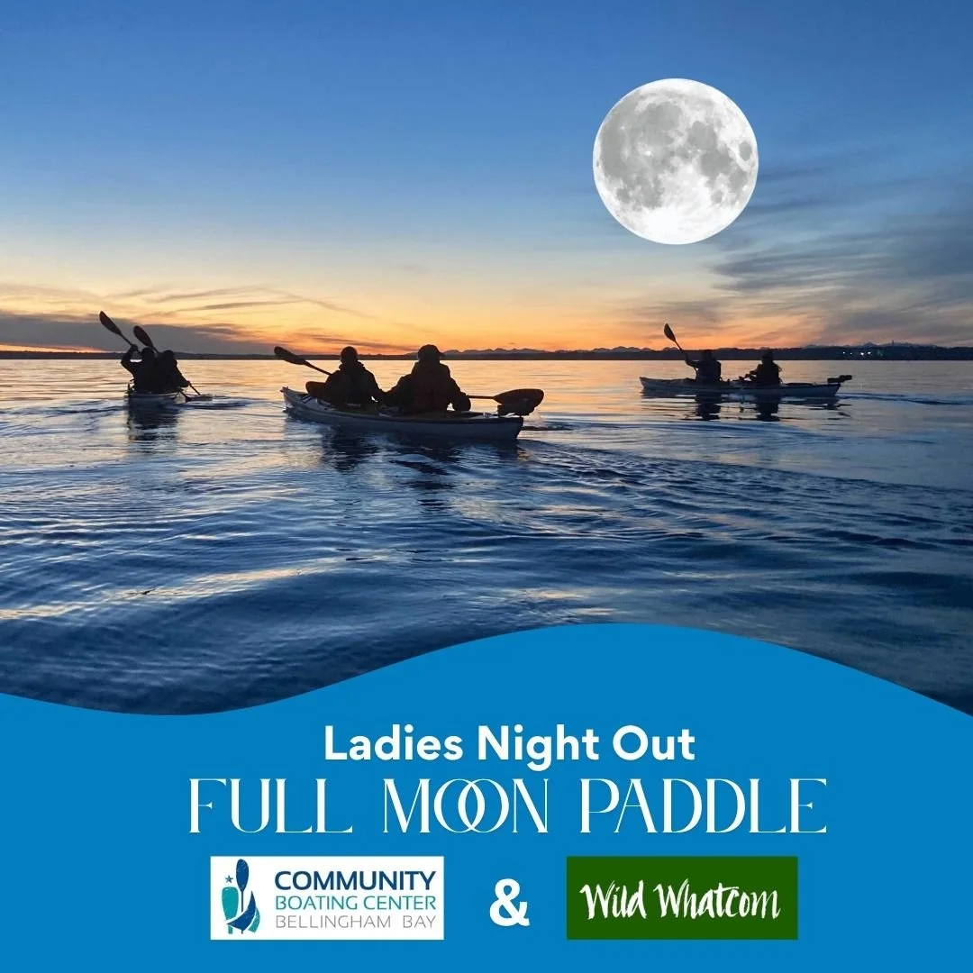 Ladies Night Out : Full Moon Paddle 