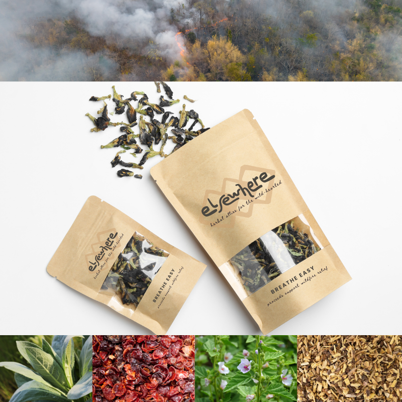 Breathe Easy Tea (Pre-Order)
