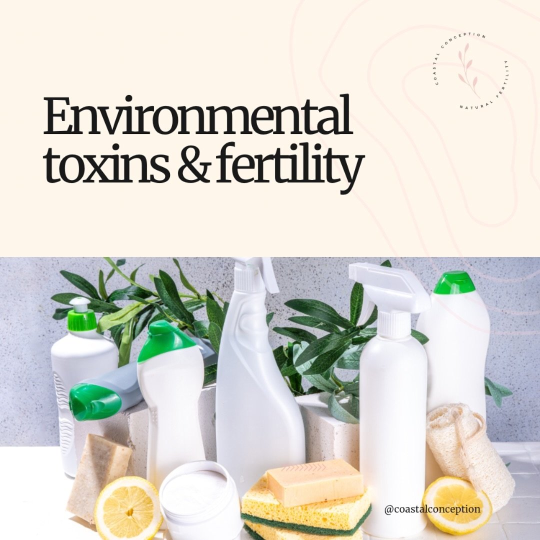 🥽 Environmental toxins, such as BPA, phthalates, and pesticides, can interfere with our hormones and potentially impact fertility. Everyday products—from plastic containers to personal care items—can expose us to these substances.
☘️ To
