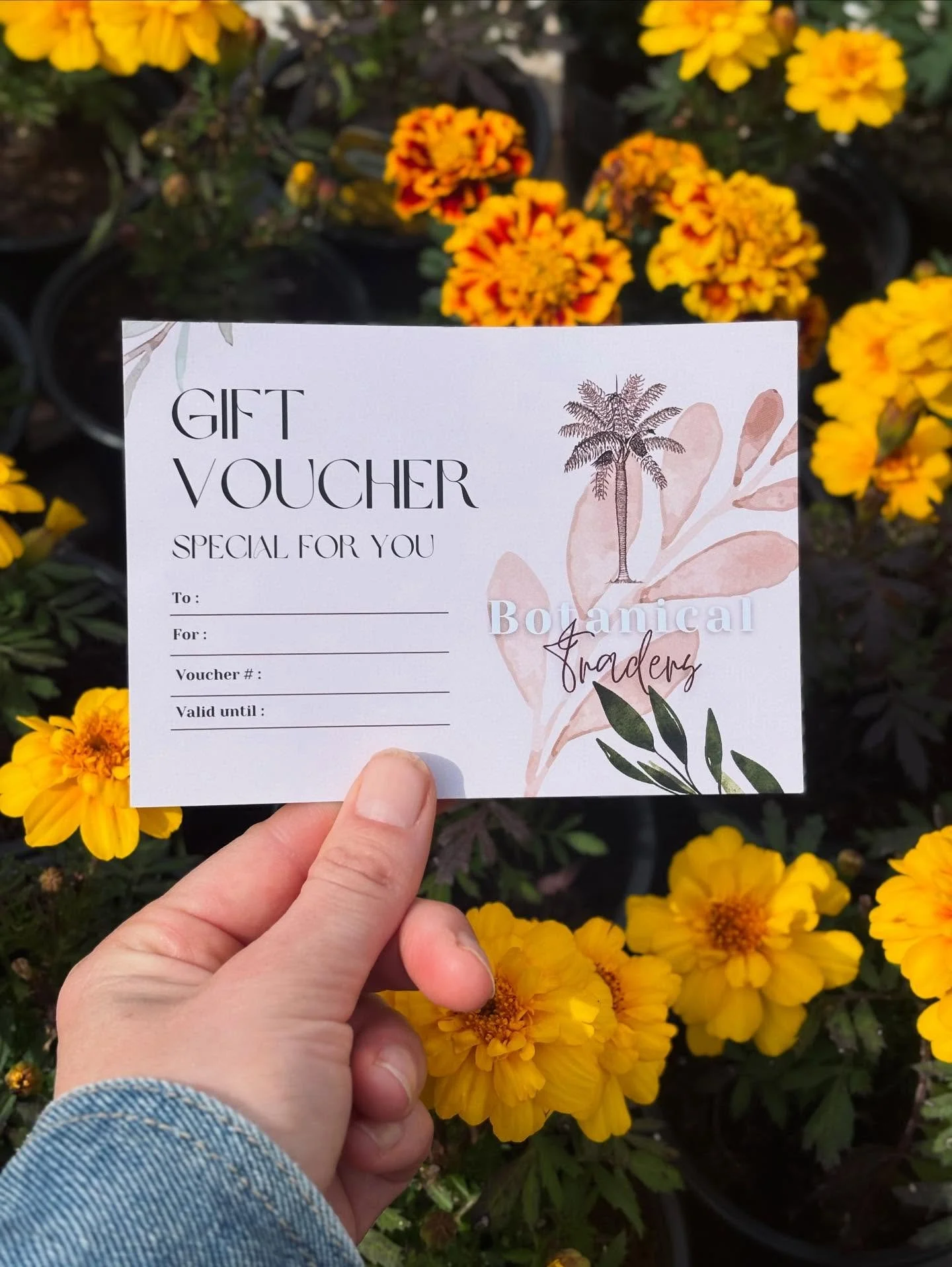 Did you know that our gift vouchers are now available in store at Botanical Traders? They&rsquo;re the perfect choice for all the plant lovers in your life! Make gifting stress free and let them select their next leafy companion 🌺🌿