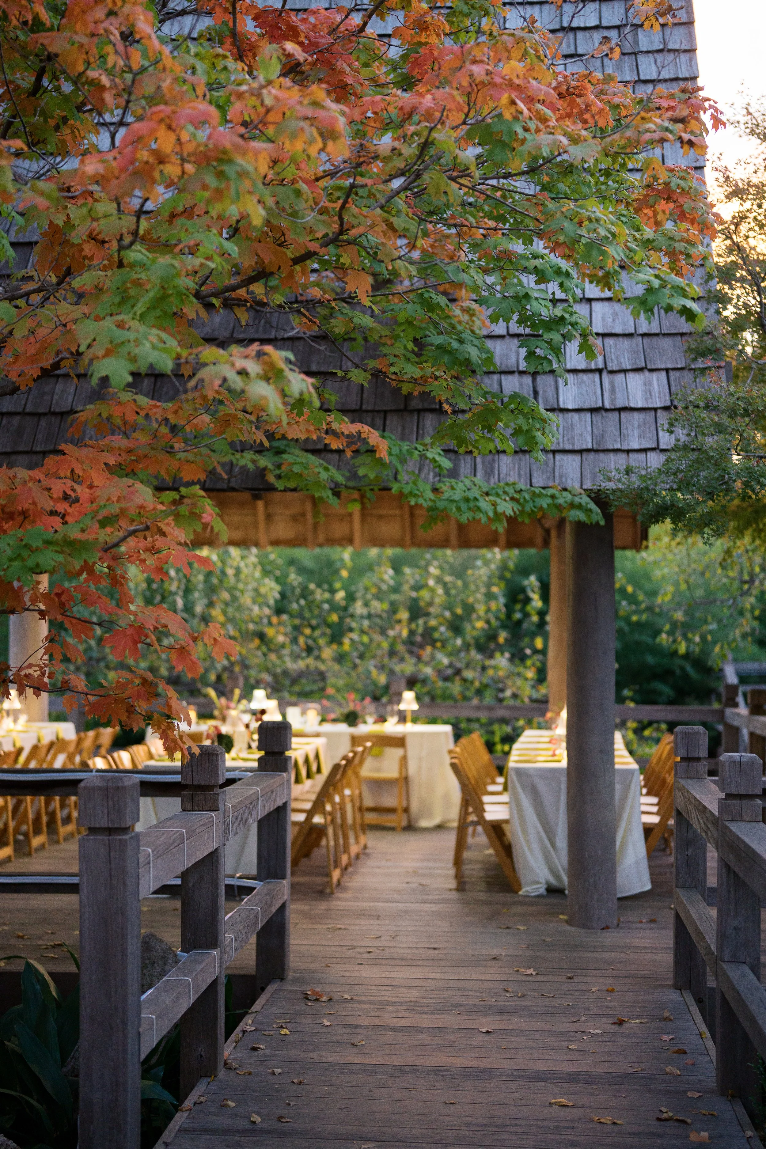 Ashely %26 Drew Previews-33.jpg