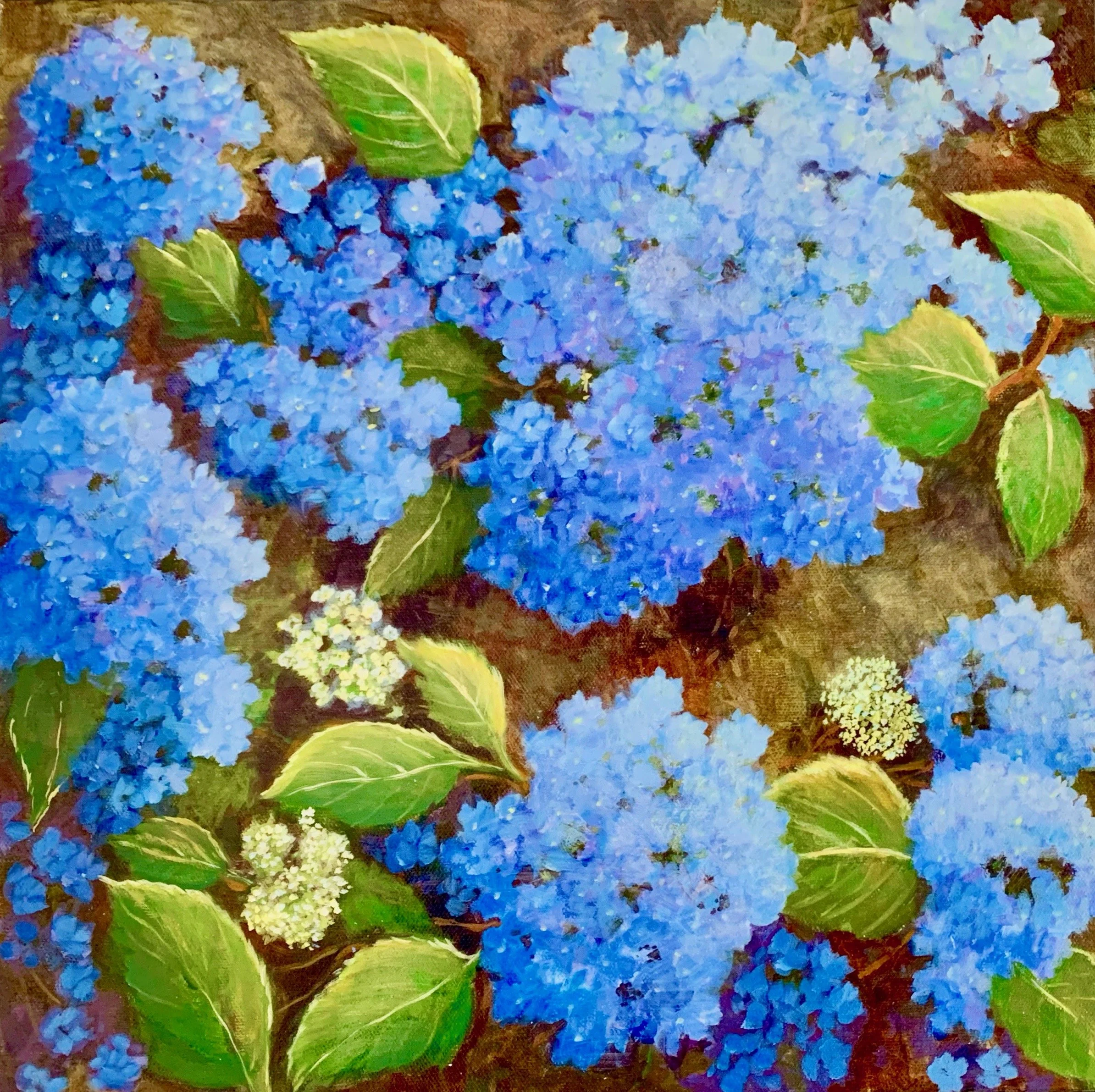 Hydrangea Blossoms - SOLD