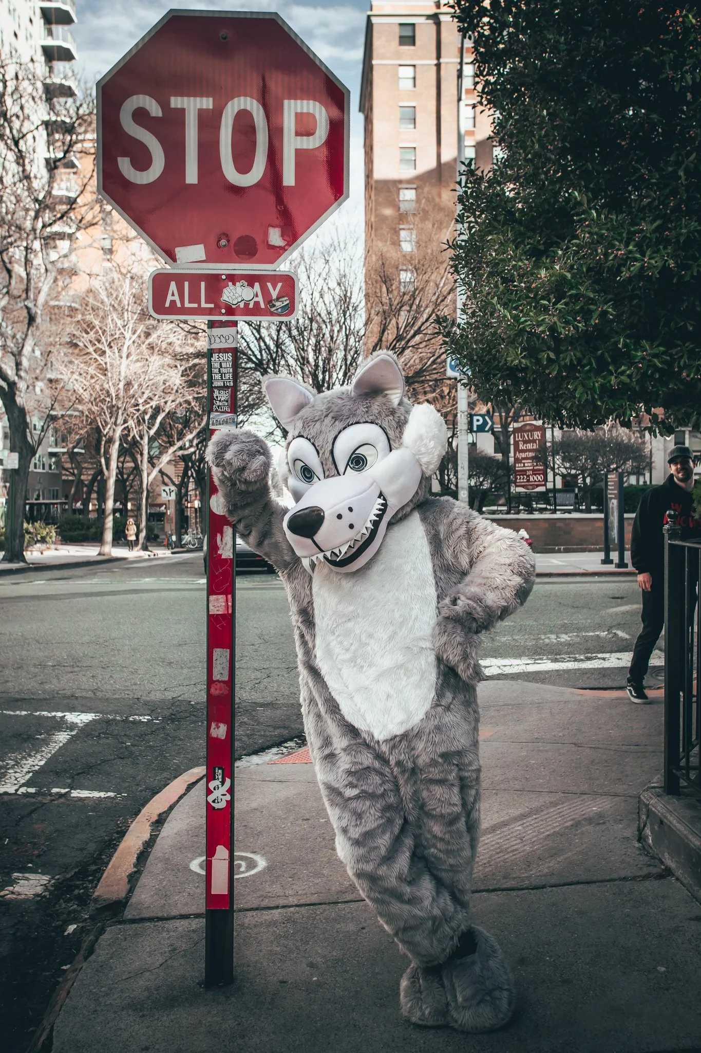 Wicked Wolf Glendale