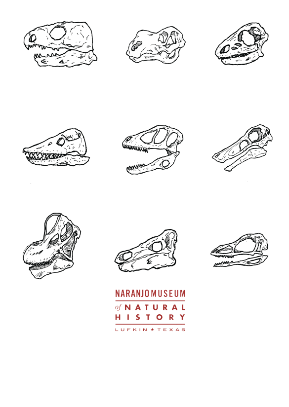 Updated dino skull.png