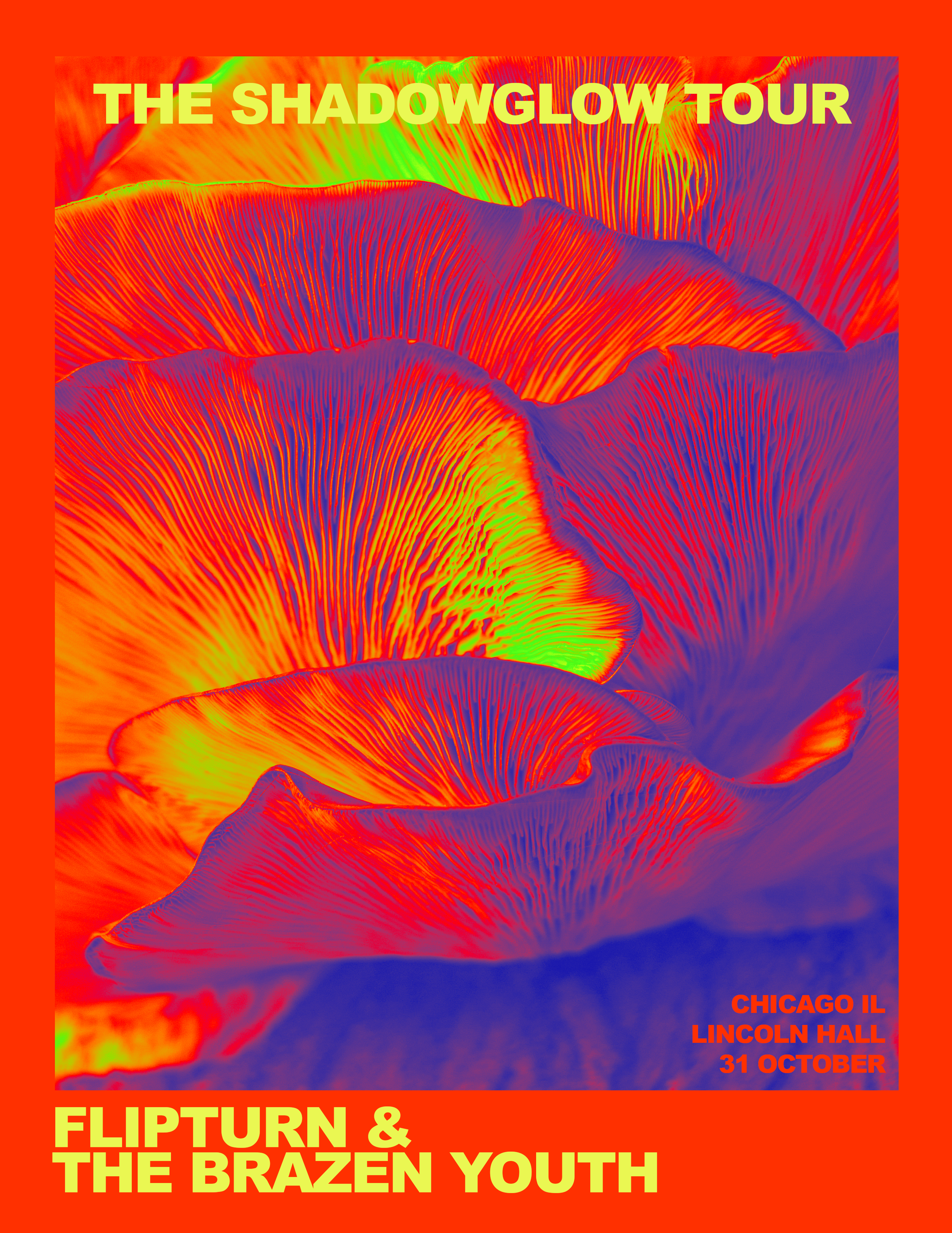 18.png
