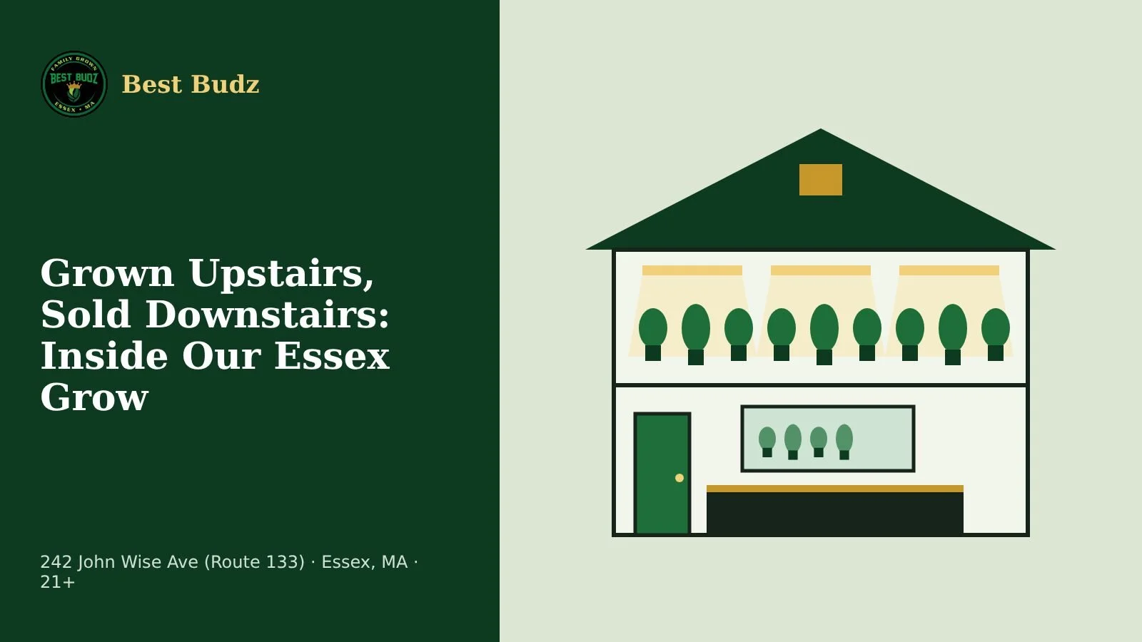 Grown Upstairs, Sold Downstairs: Inside Our Essex Grow