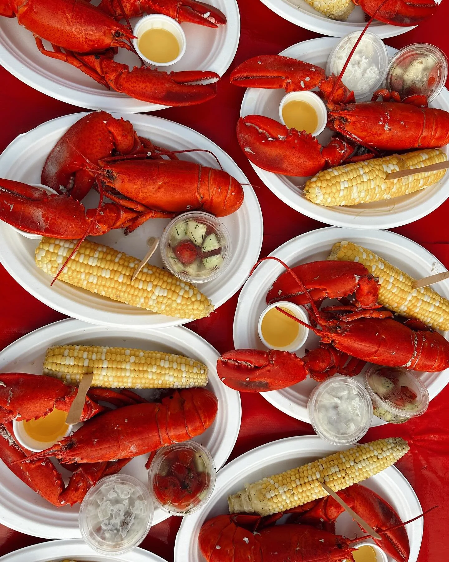 We hope your weekend was filled with views like this 🦞🌽🥗

#Maine #Maineseafood #catering