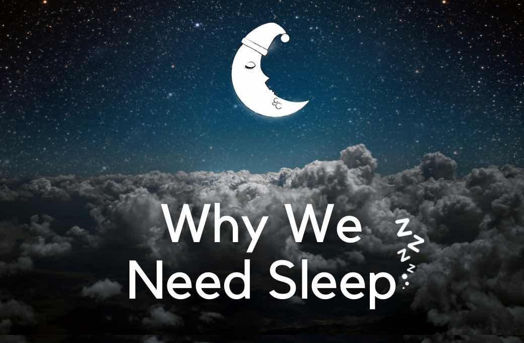 Why We Need Sleep