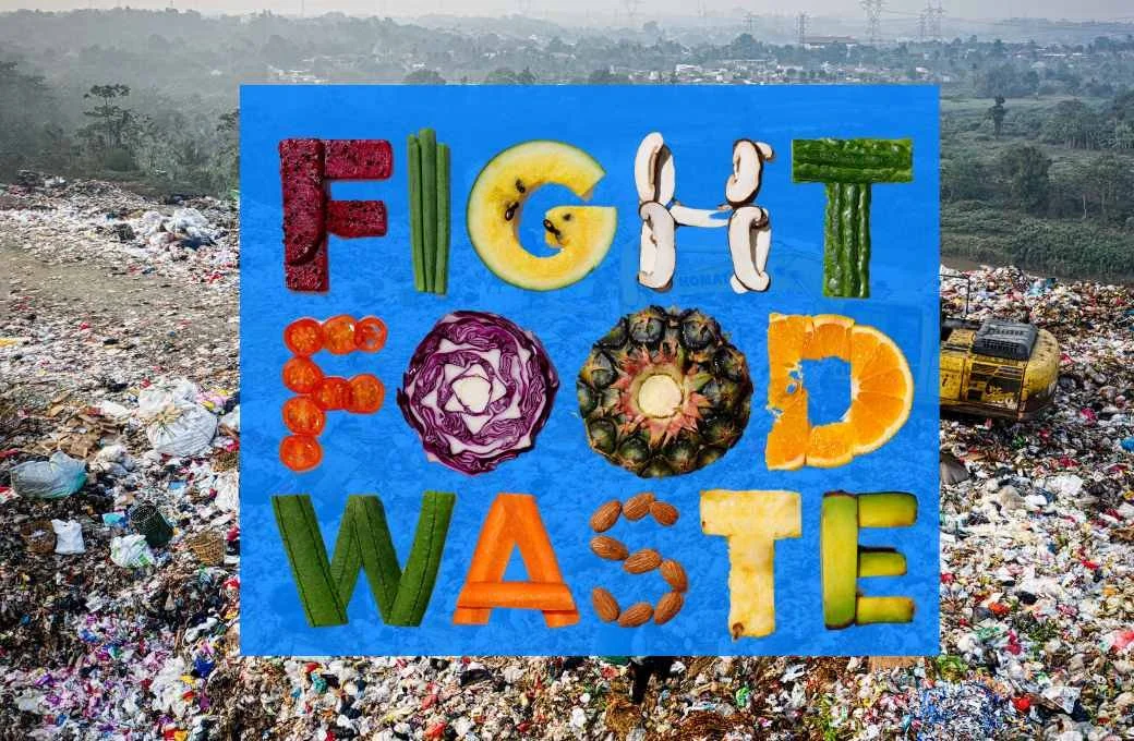 The words "fight food waste" on a blue background layer over a photo of a landfill.