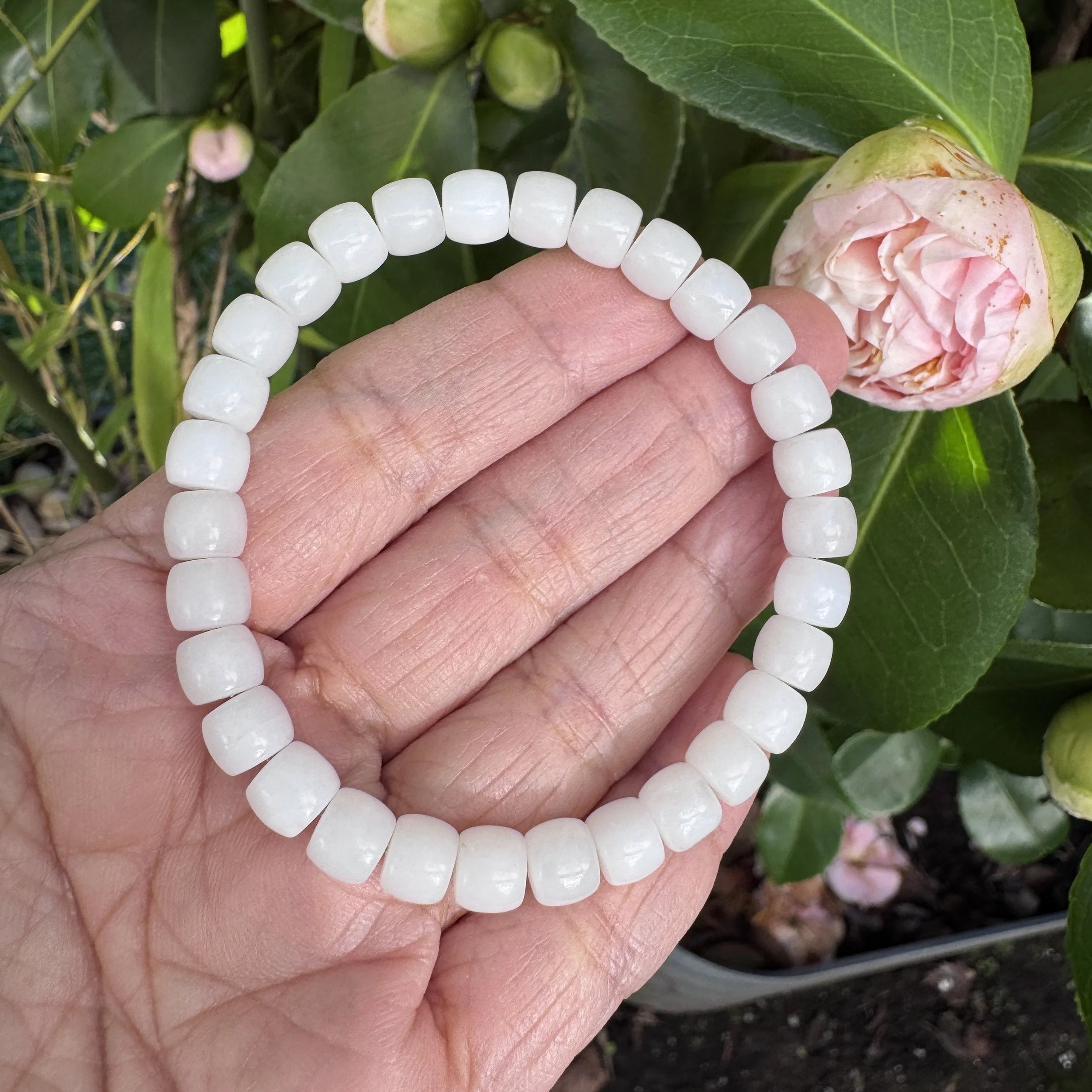 jademastervancouver.com