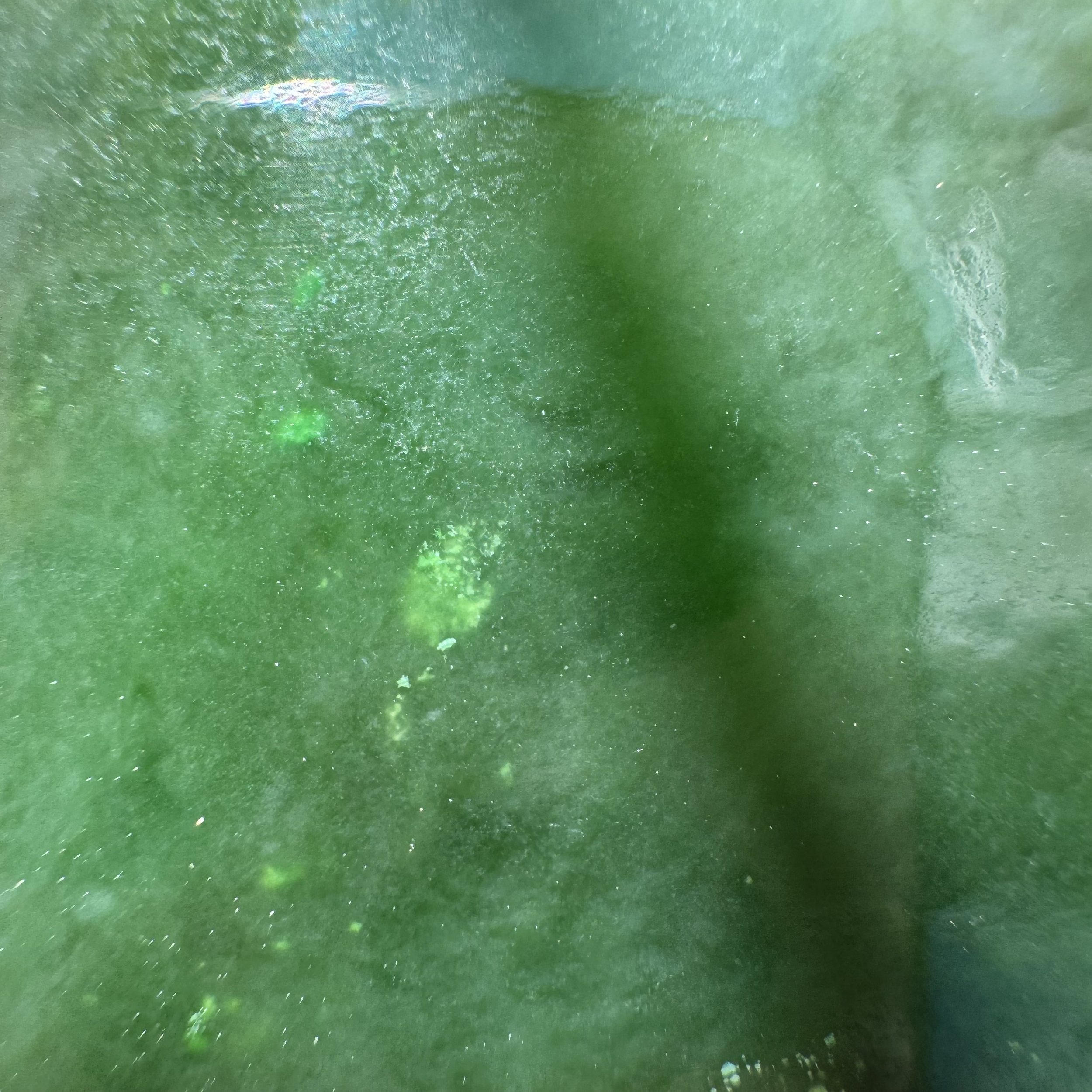 jademastervancouver.com