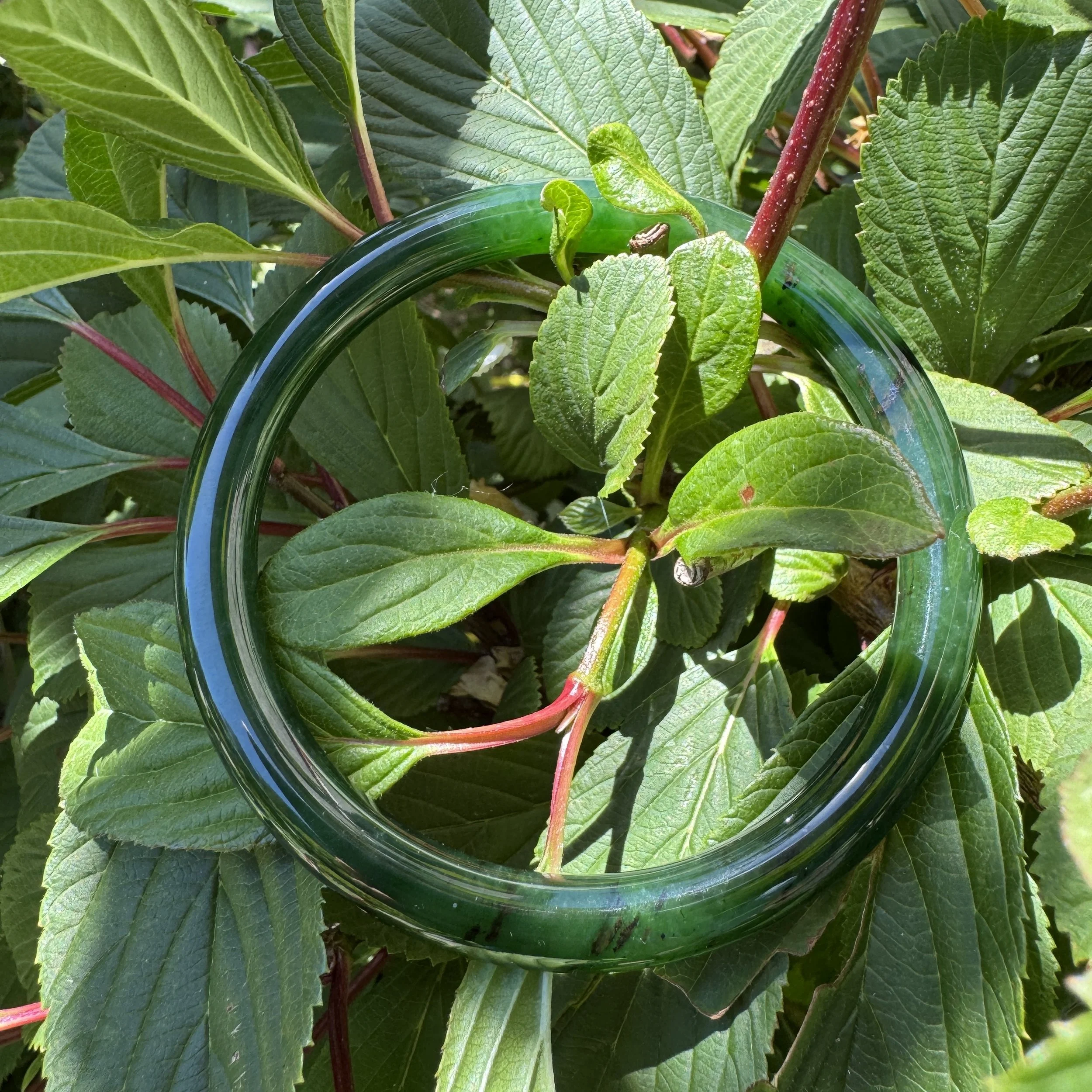 Canadian jade-jademastervancouver.com