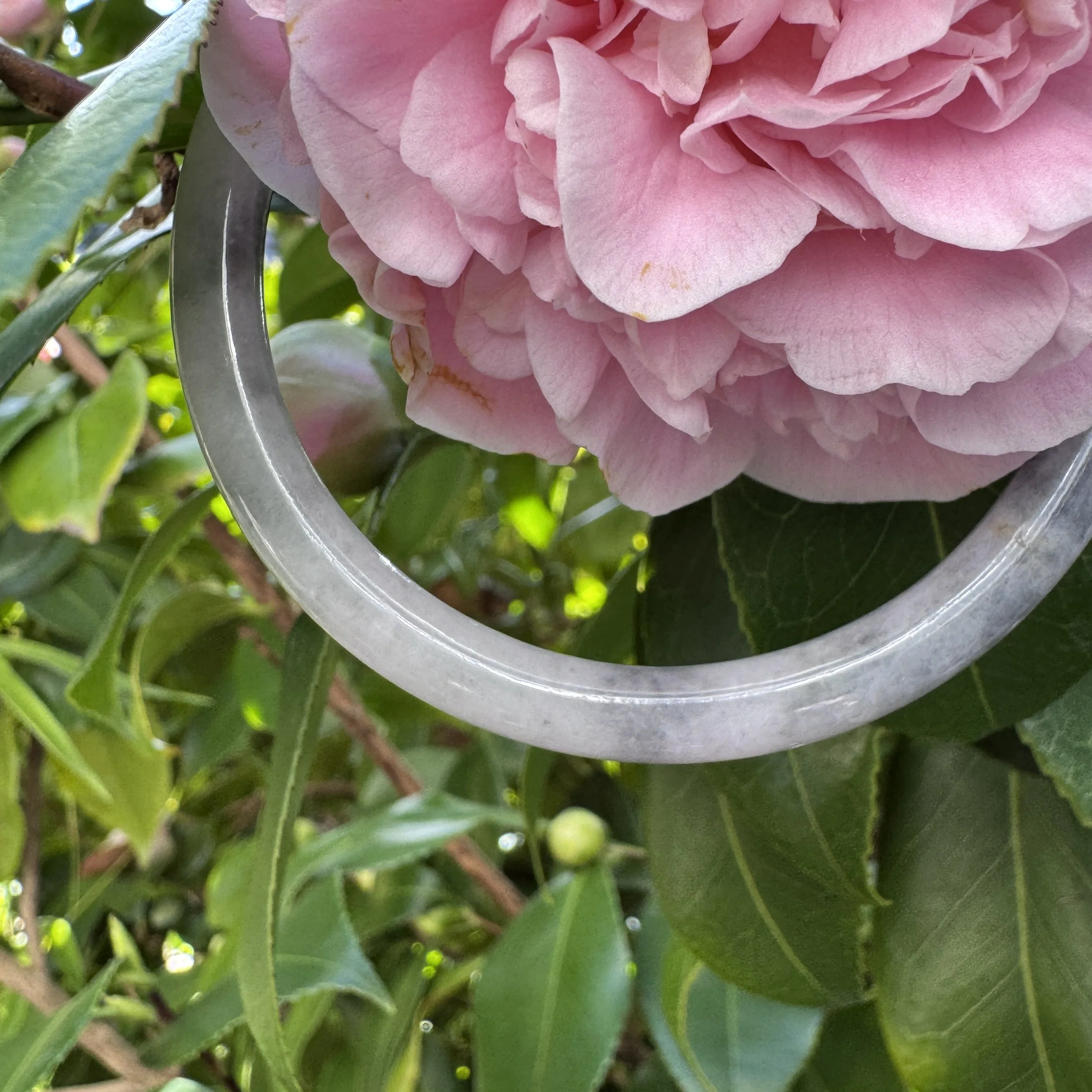 jademastervancouver.com