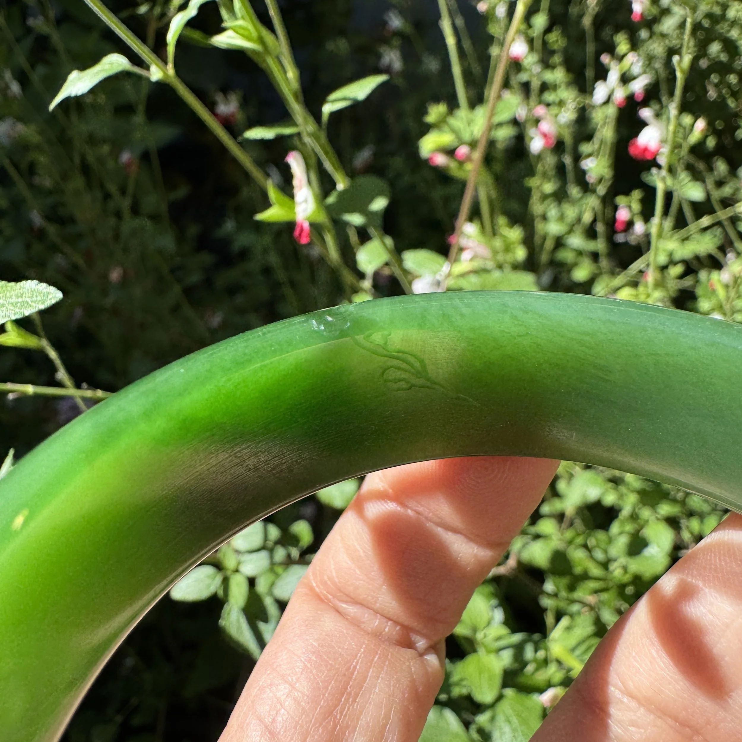 Hetian green nephrite jade-jademastervancouver.com