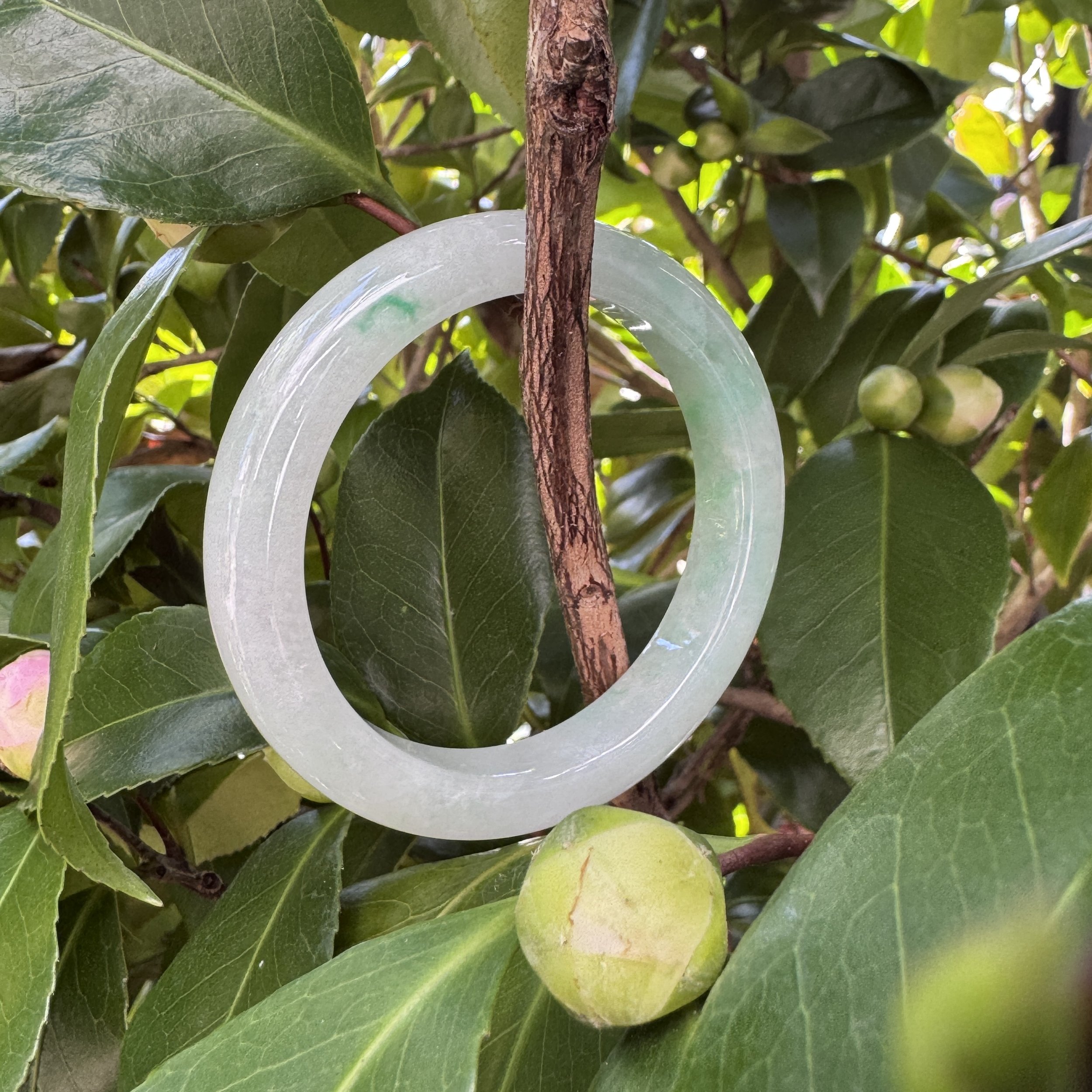 jademastervancouver.com