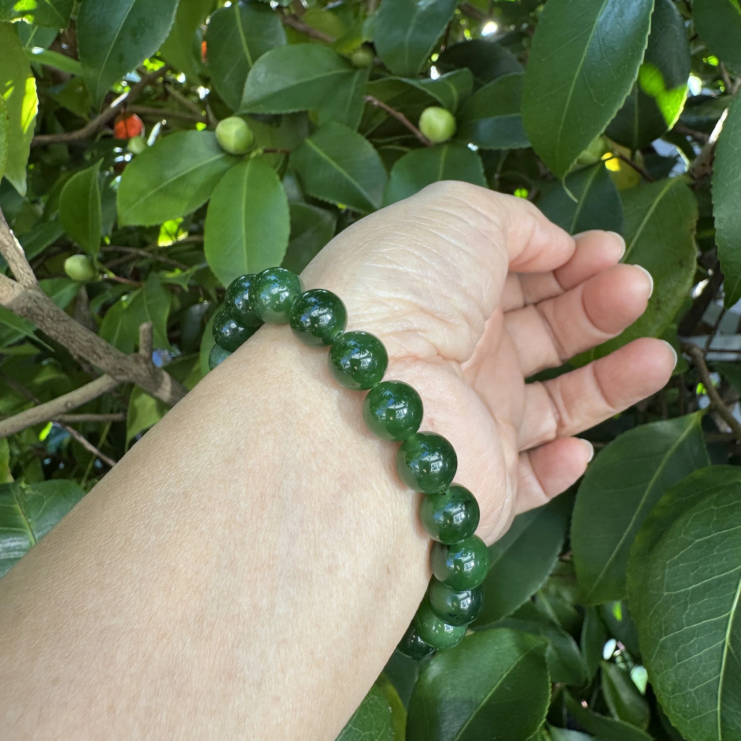 jademastervancouver.com