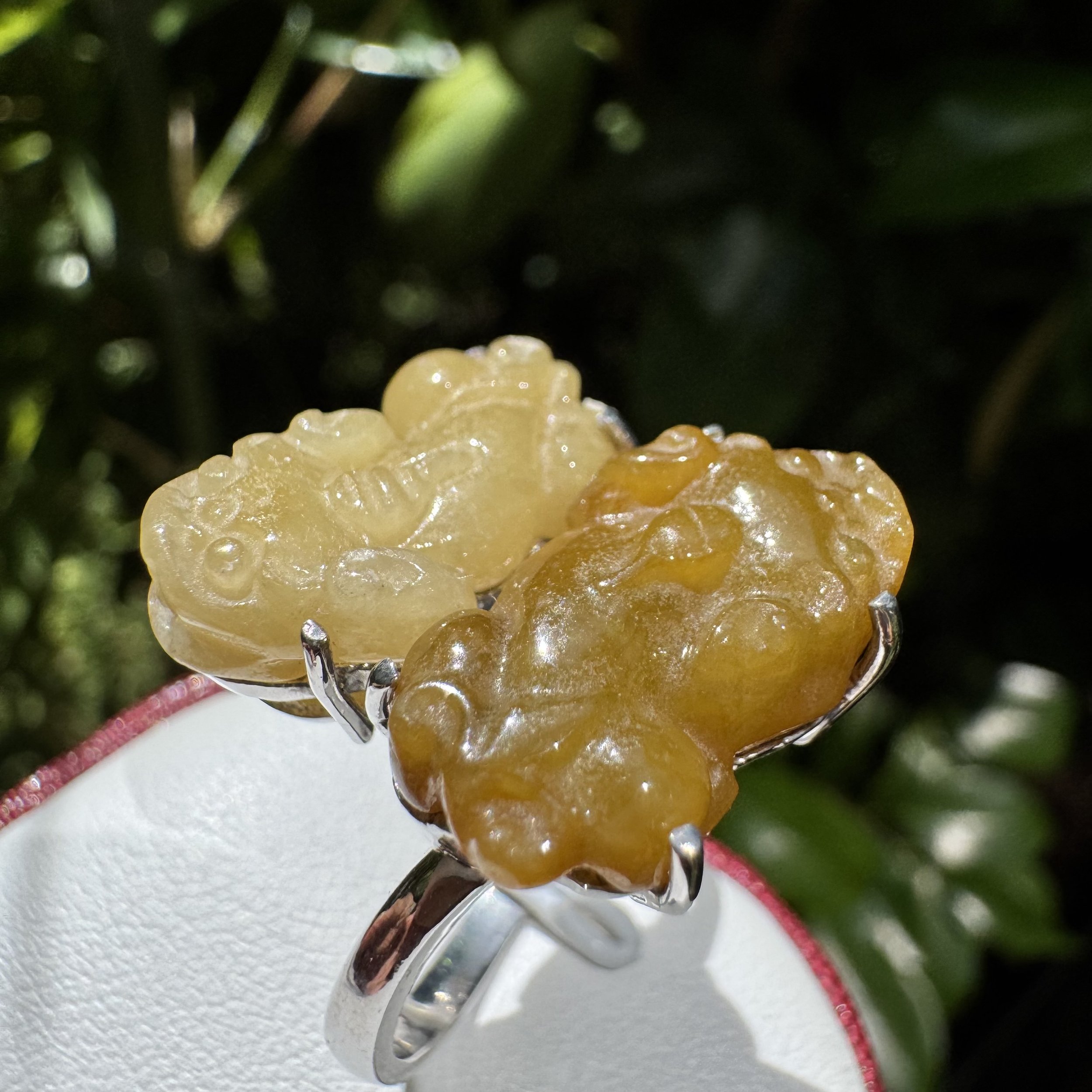 jademastervancouver.com