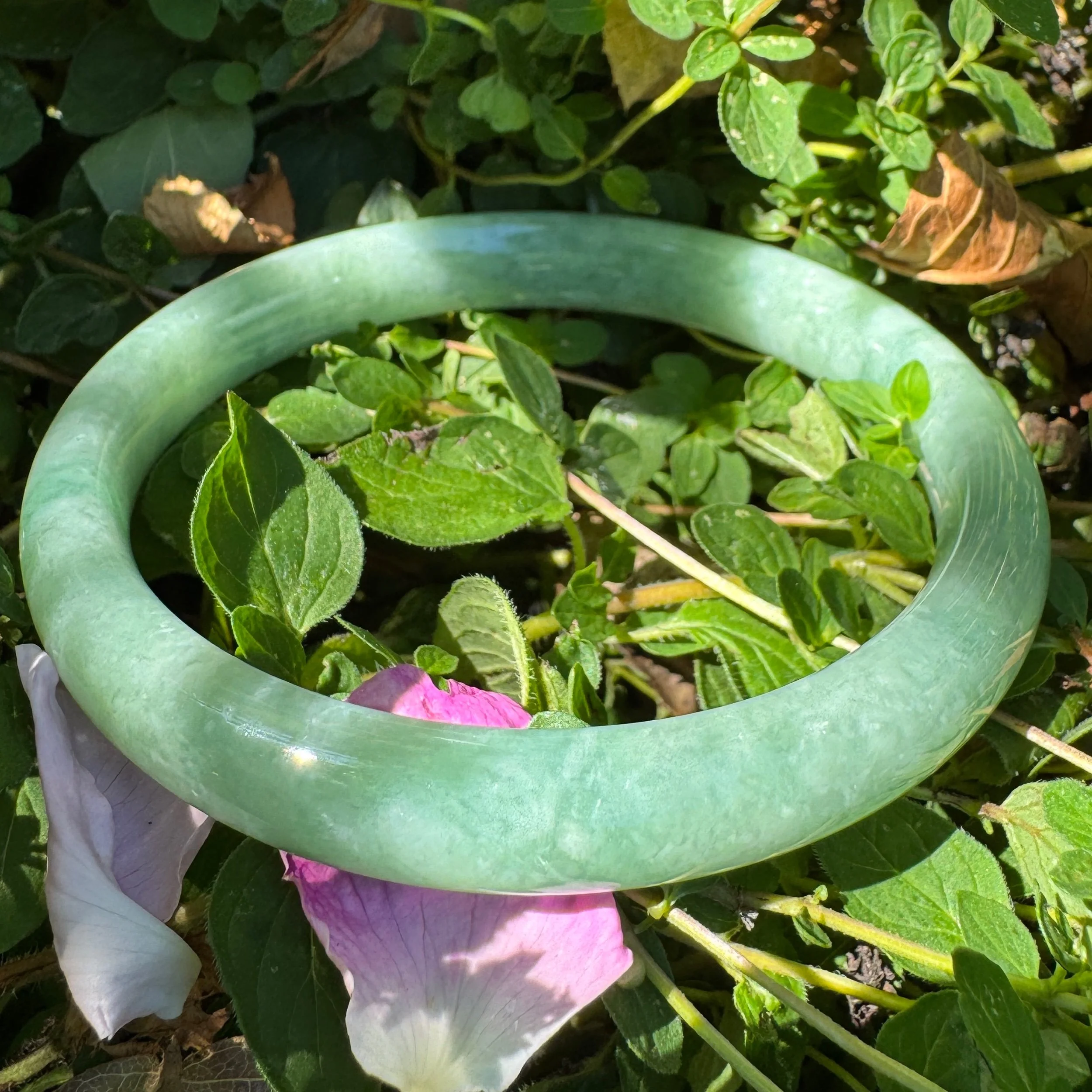 71.7mm Natural Apple Green Myanmar Jadeite Bangle Bracelet
