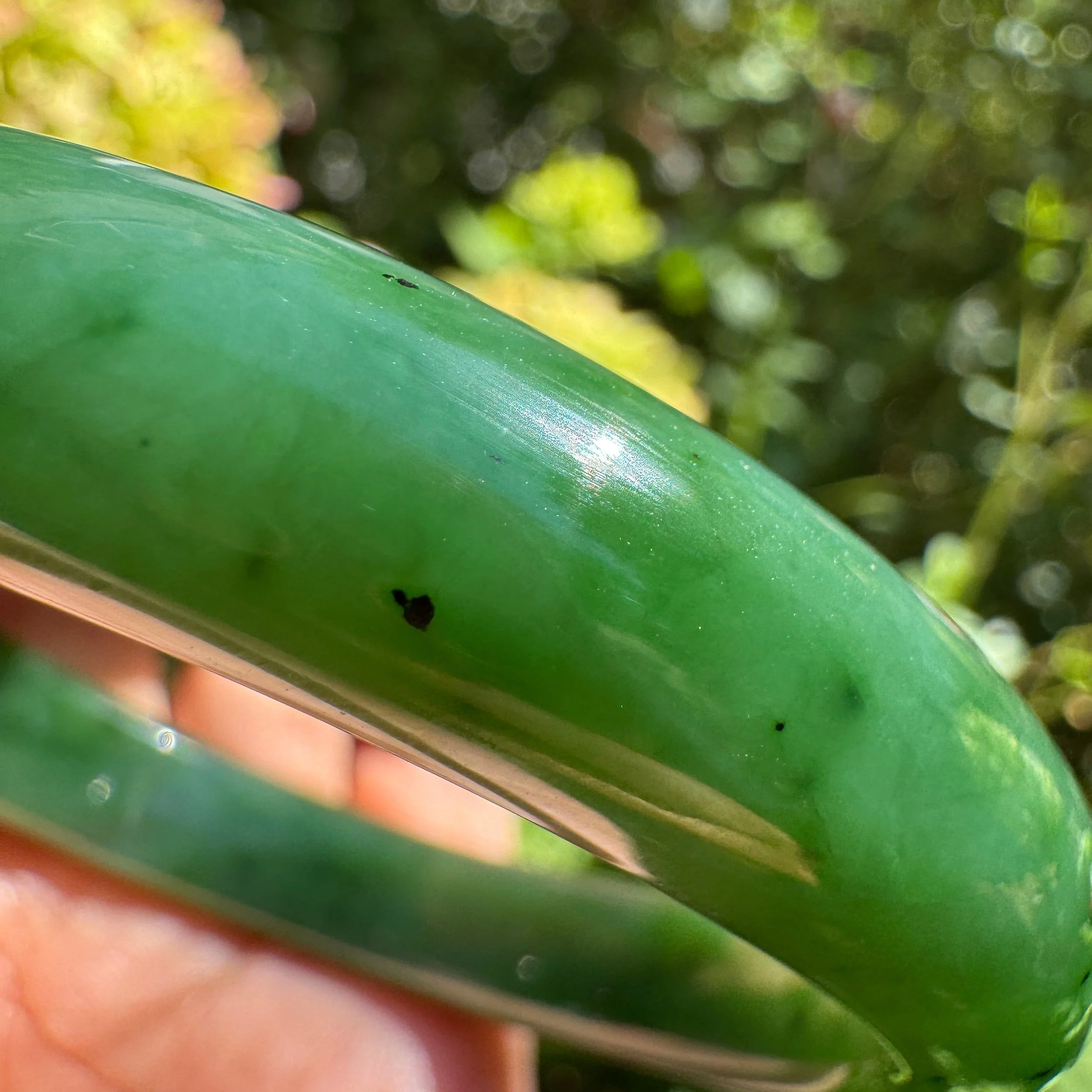 fine semi translucent texture of  a natural green nephrite jade