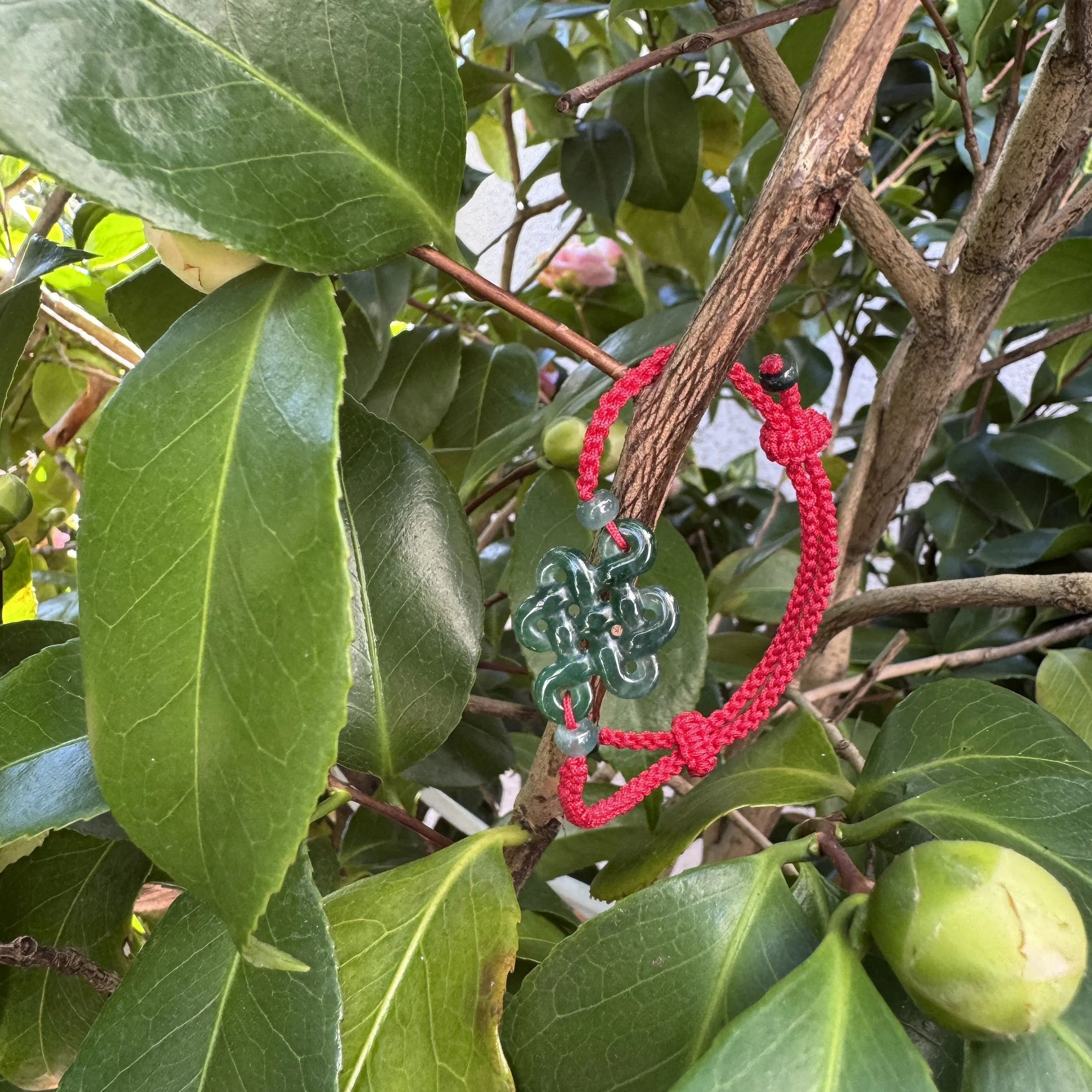 jademastervancouver.com