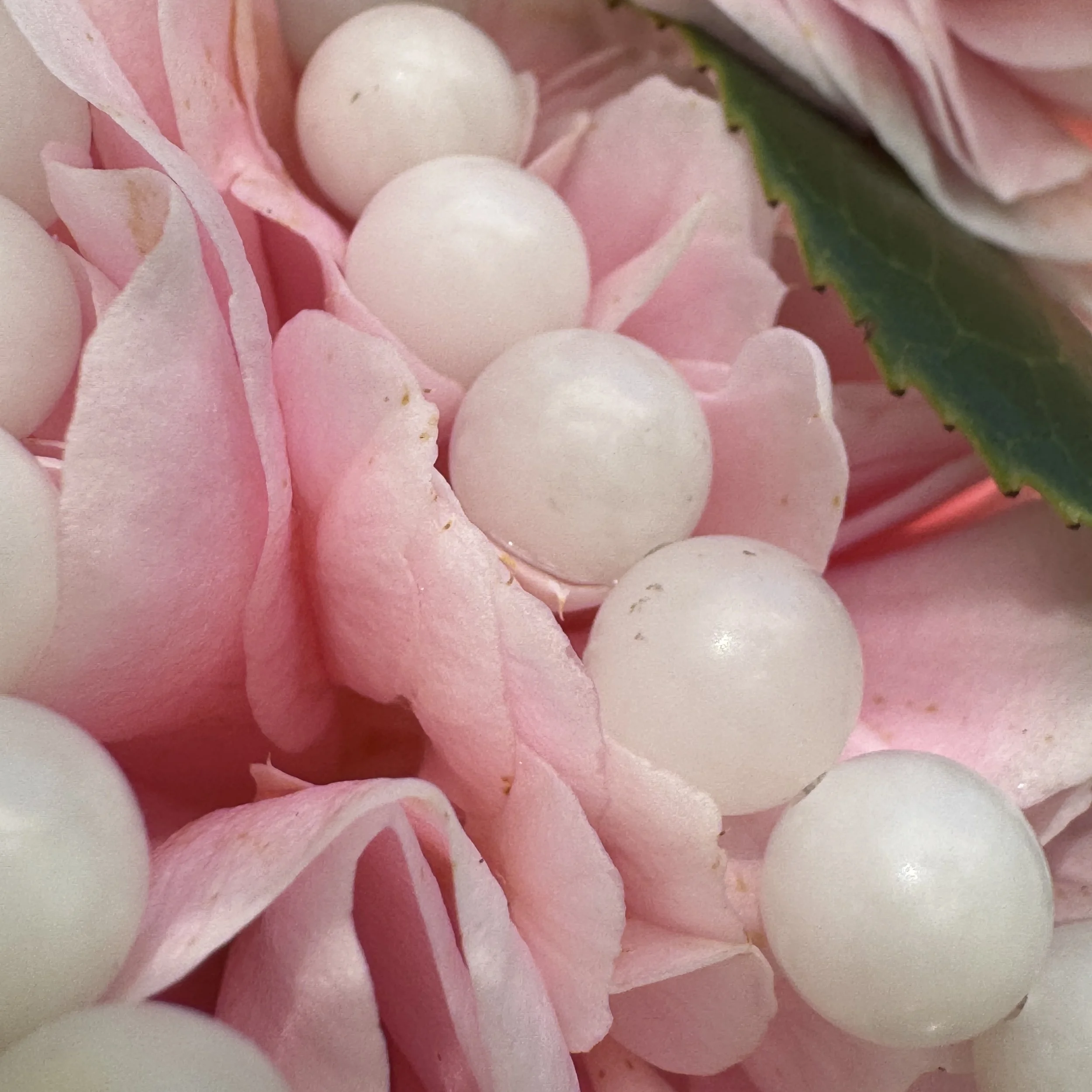 jademastervancouver.com