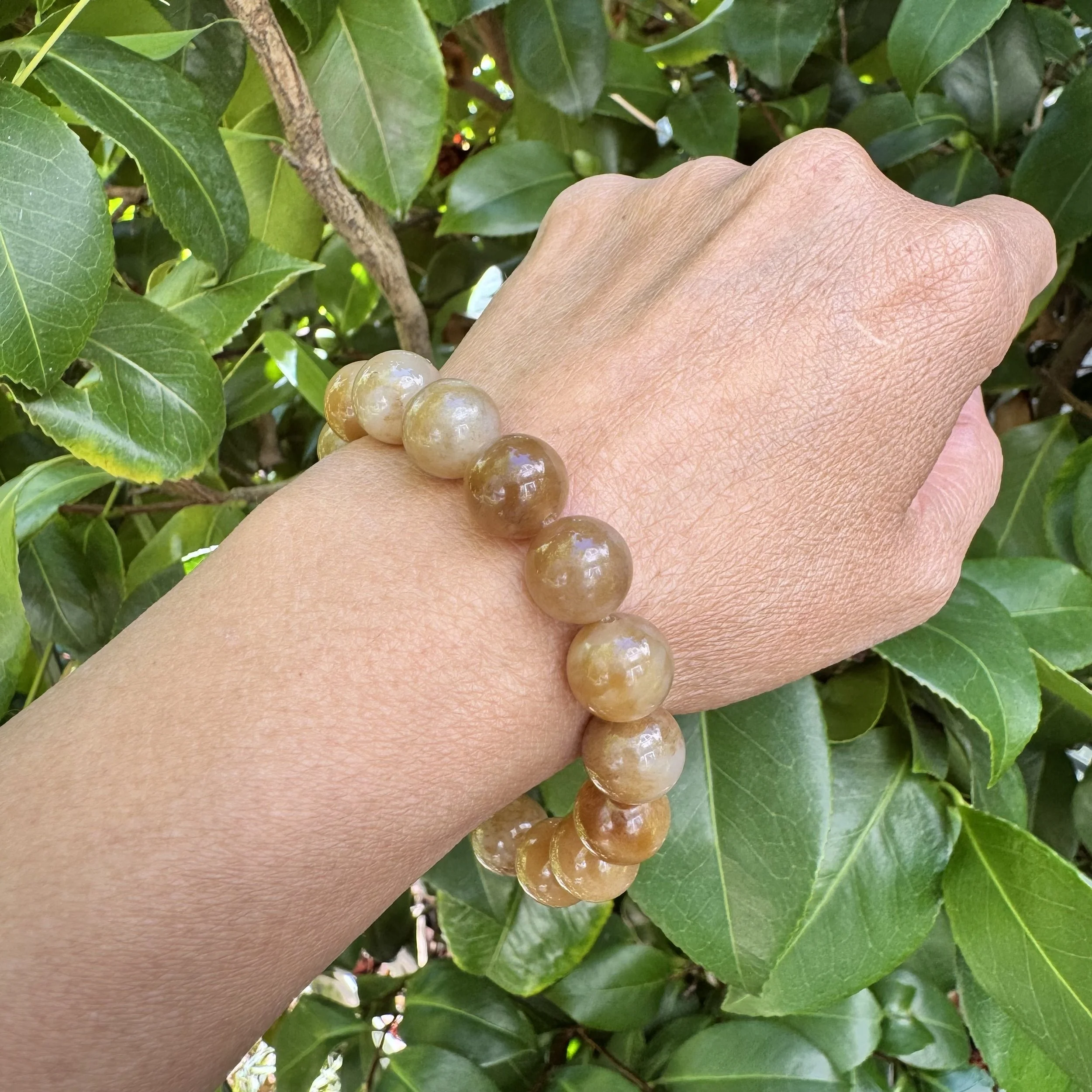 jademastervancouver.com