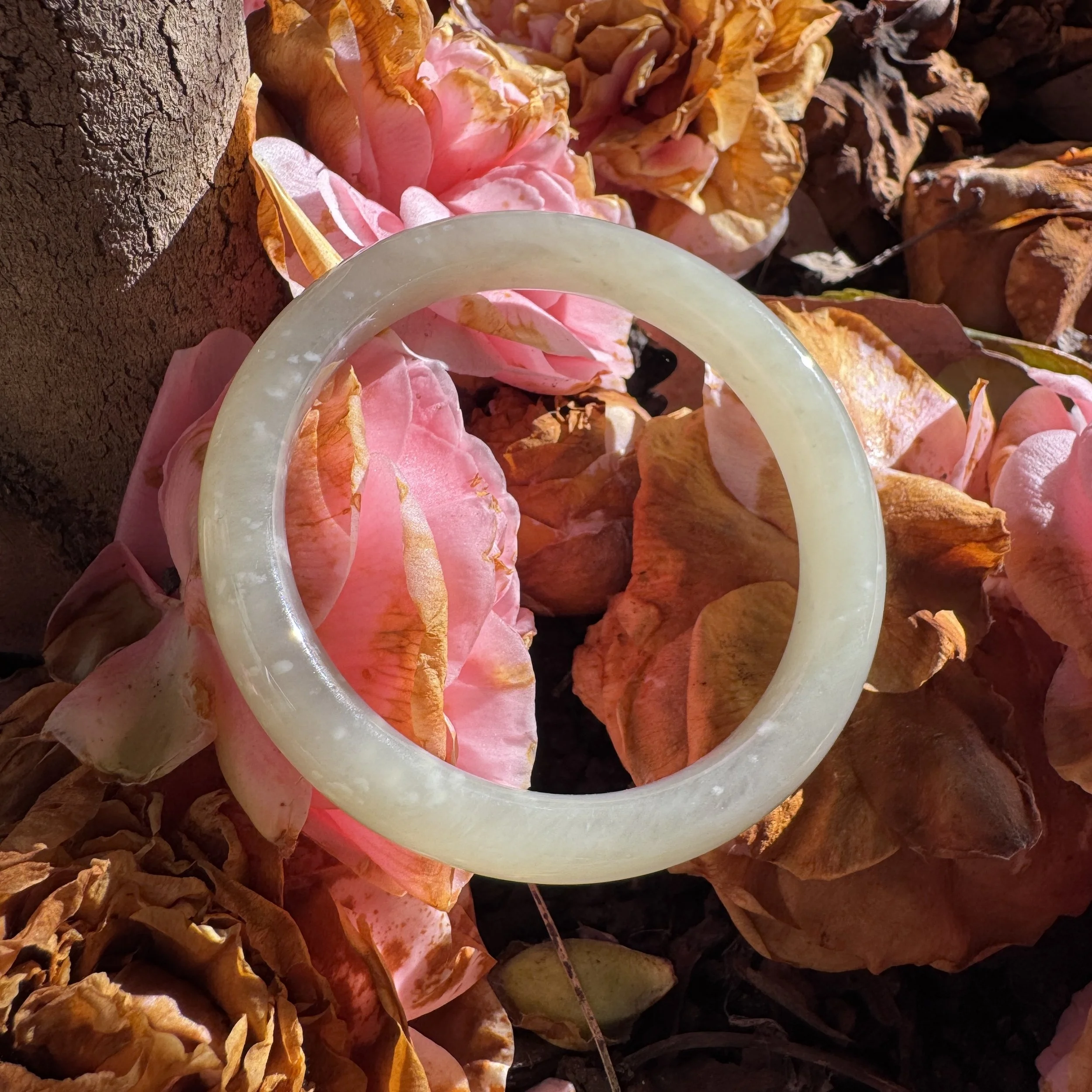 jademastervancouver.com