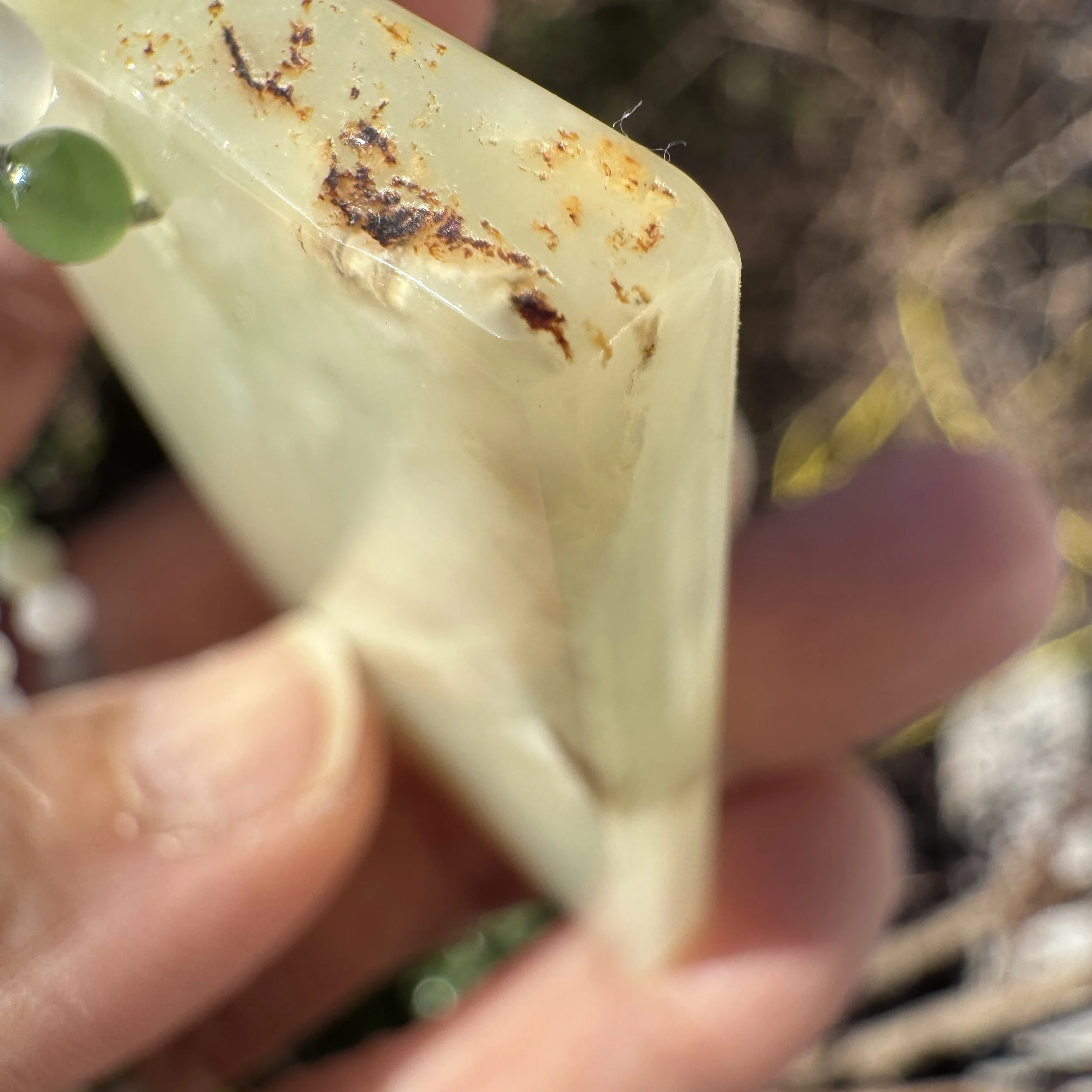 jademastervancouver.com