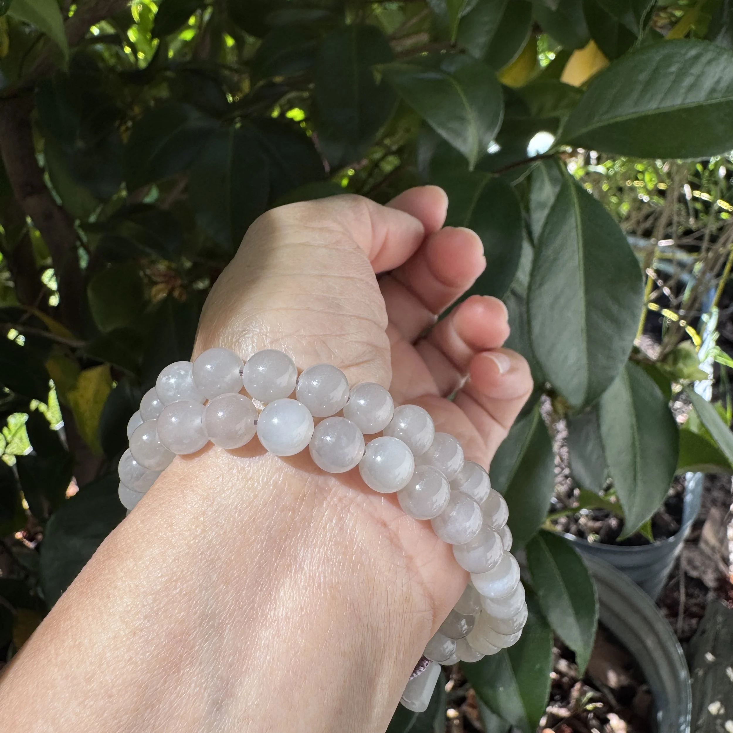 jademastervancouver.com