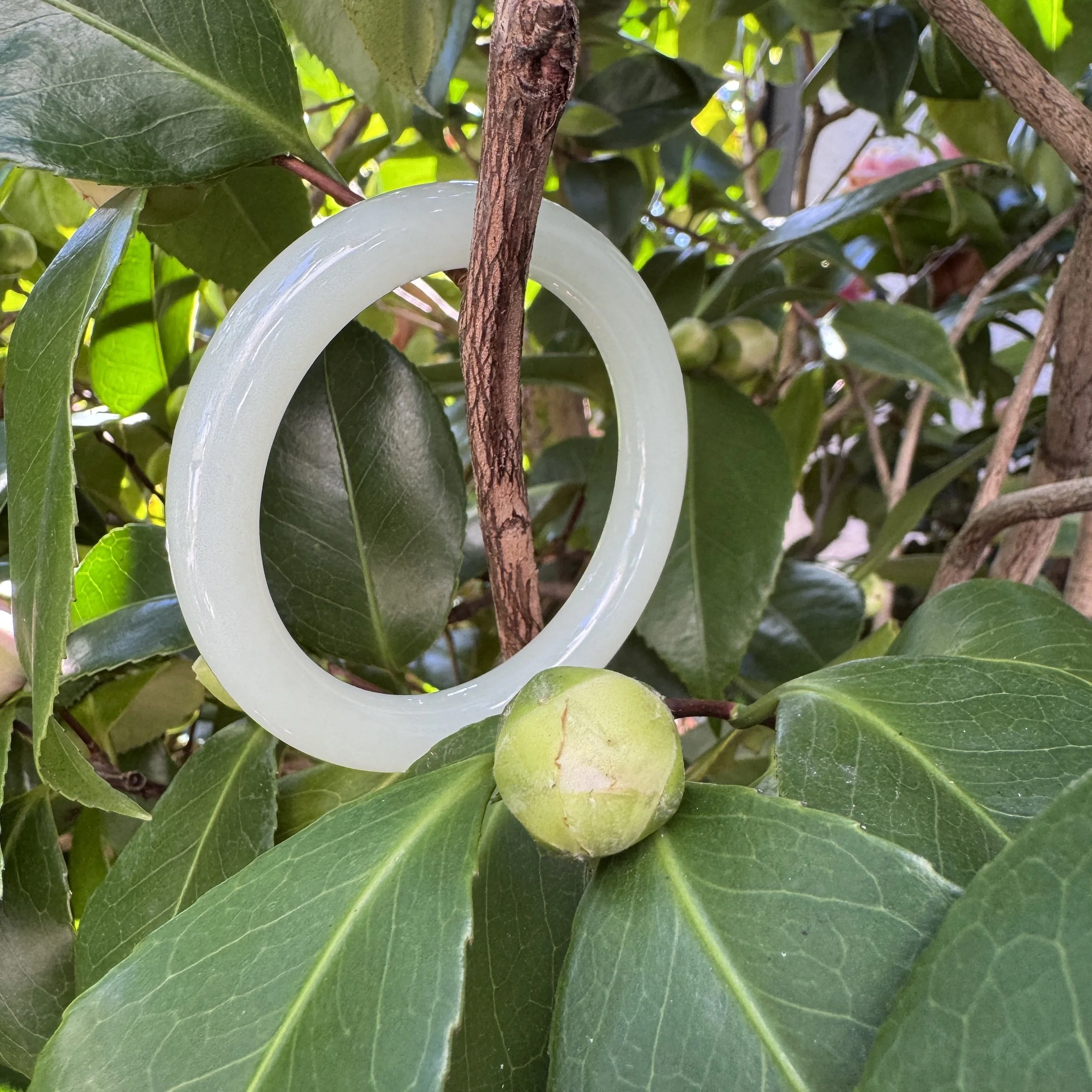 jademastervancouver.com