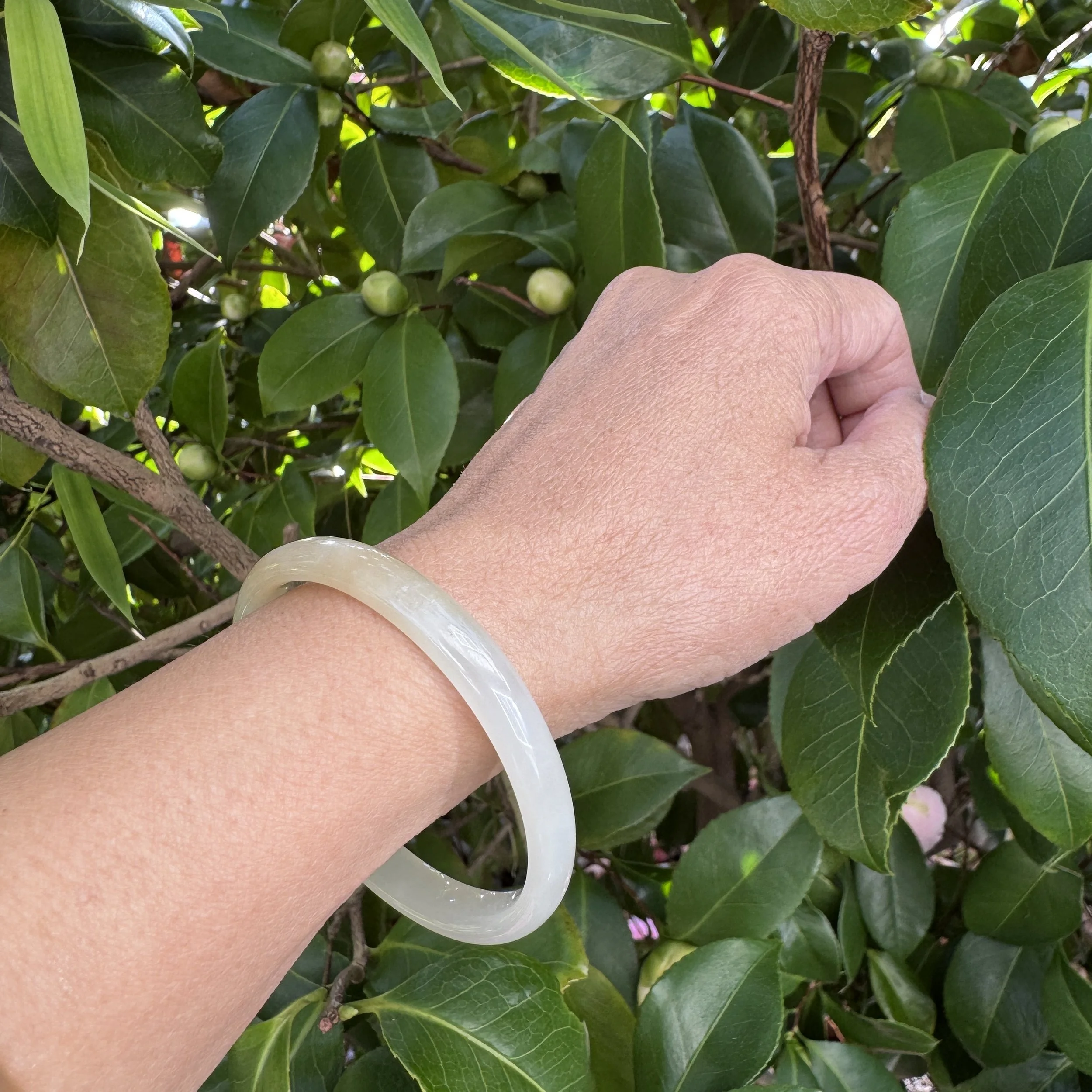 jademastervancouver.com