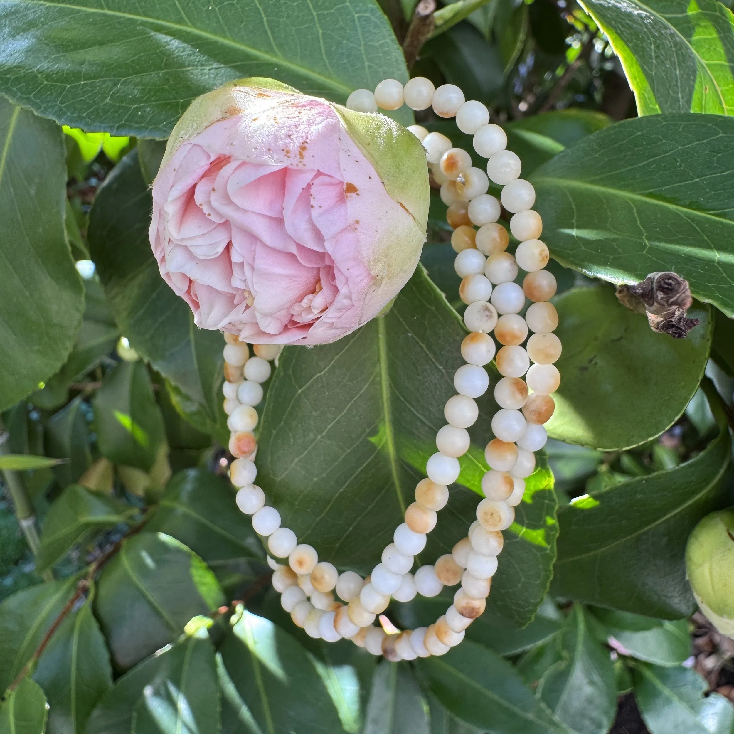 jademastervancouver.com