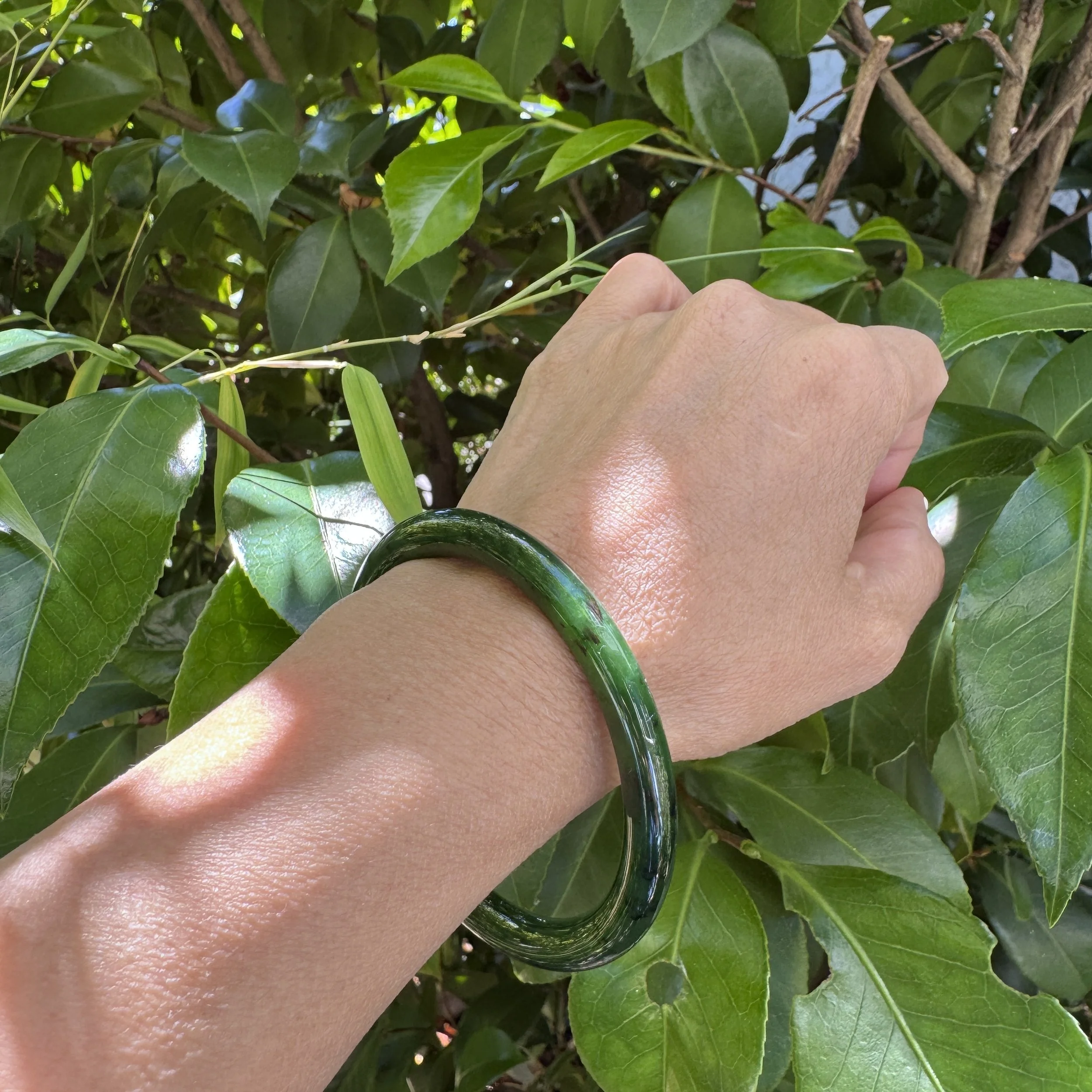 Canadian jade-jademastervancouver.com