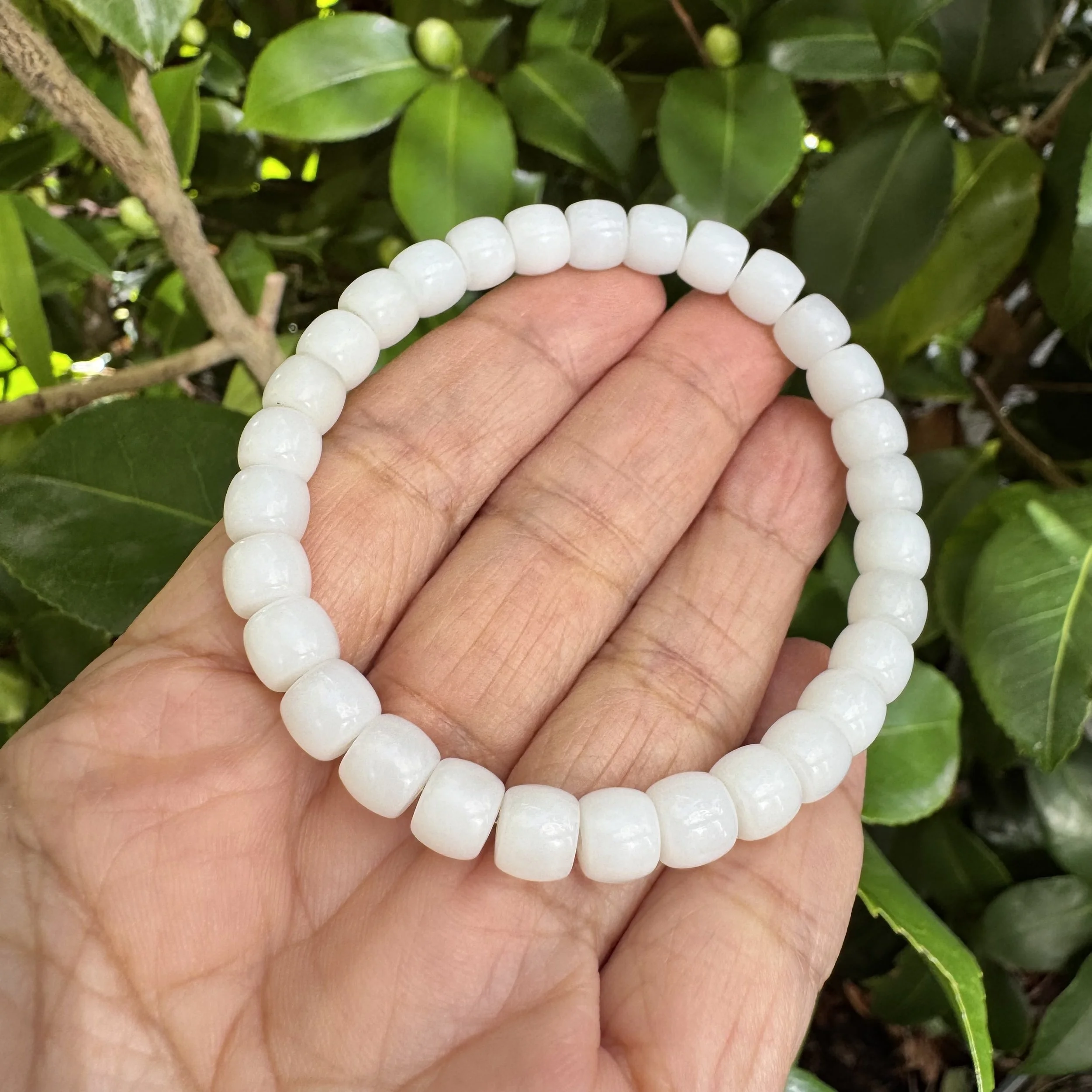 jademastervancouver.com