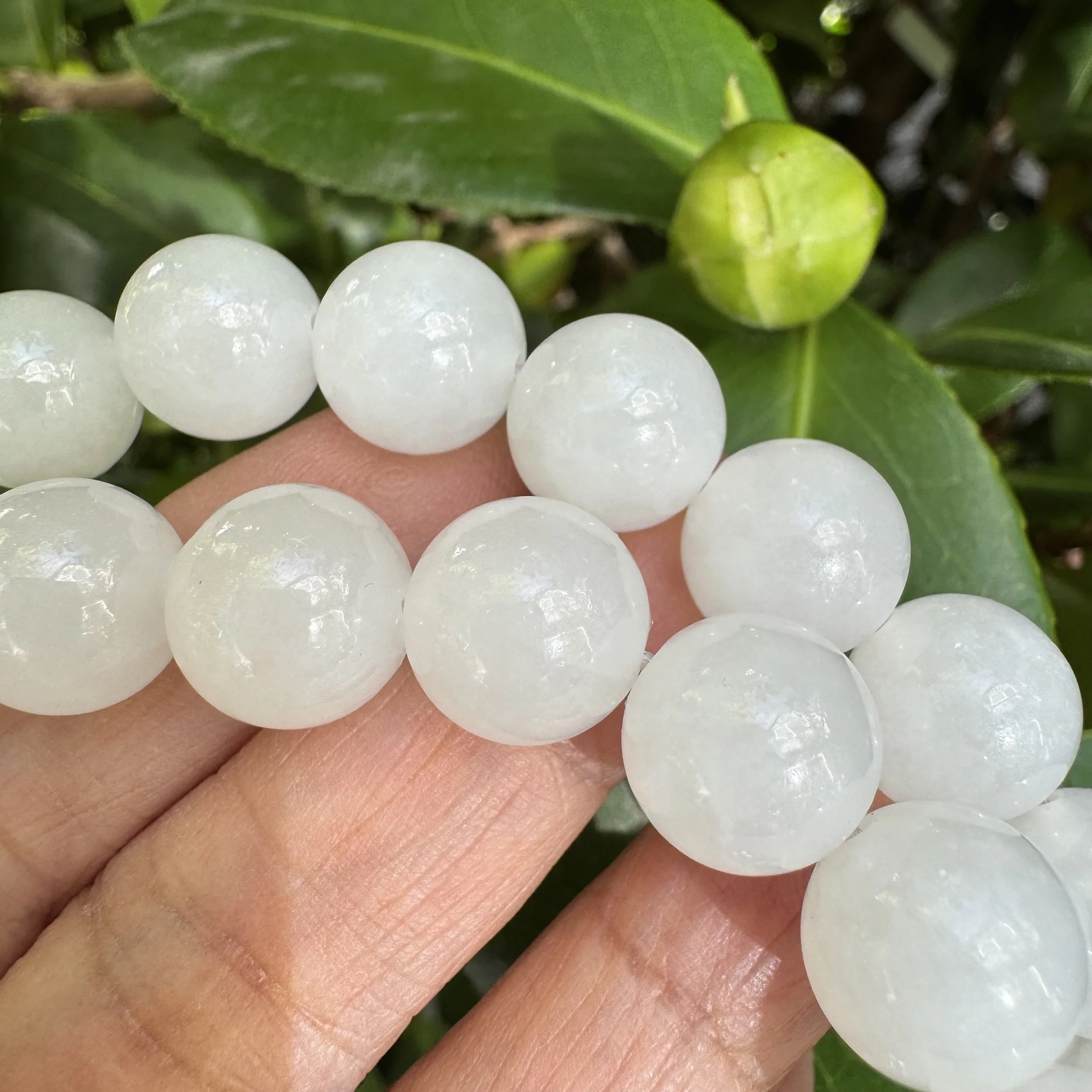 jademastervancouver.com