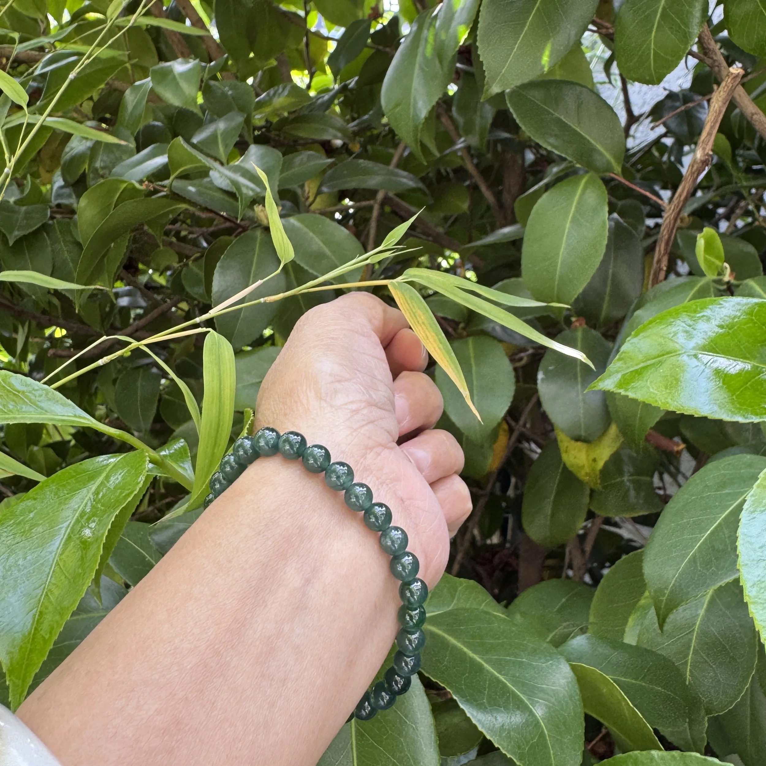 jademastervancouver.com