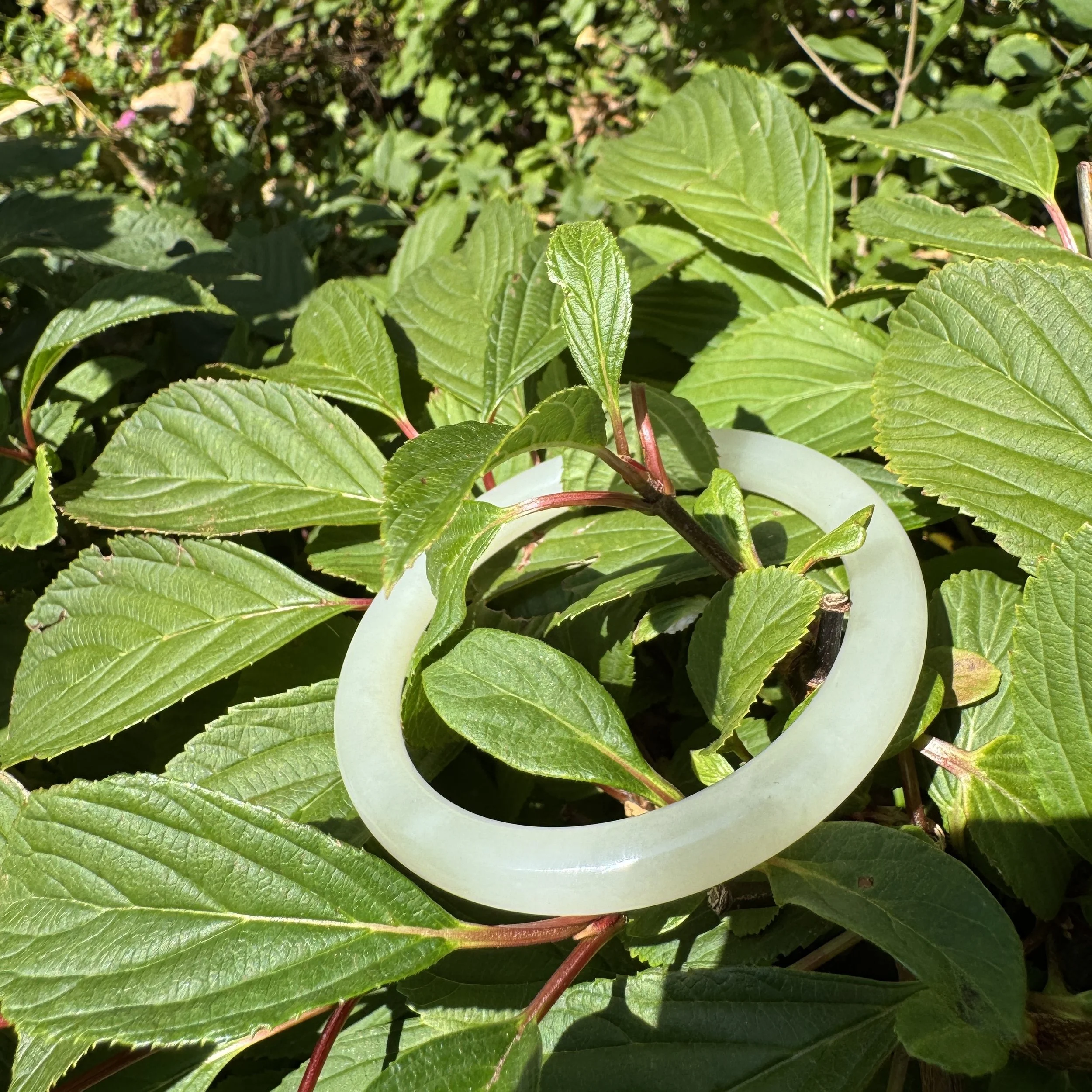 Xinjiang Hetian jade-jademastervancouver.com