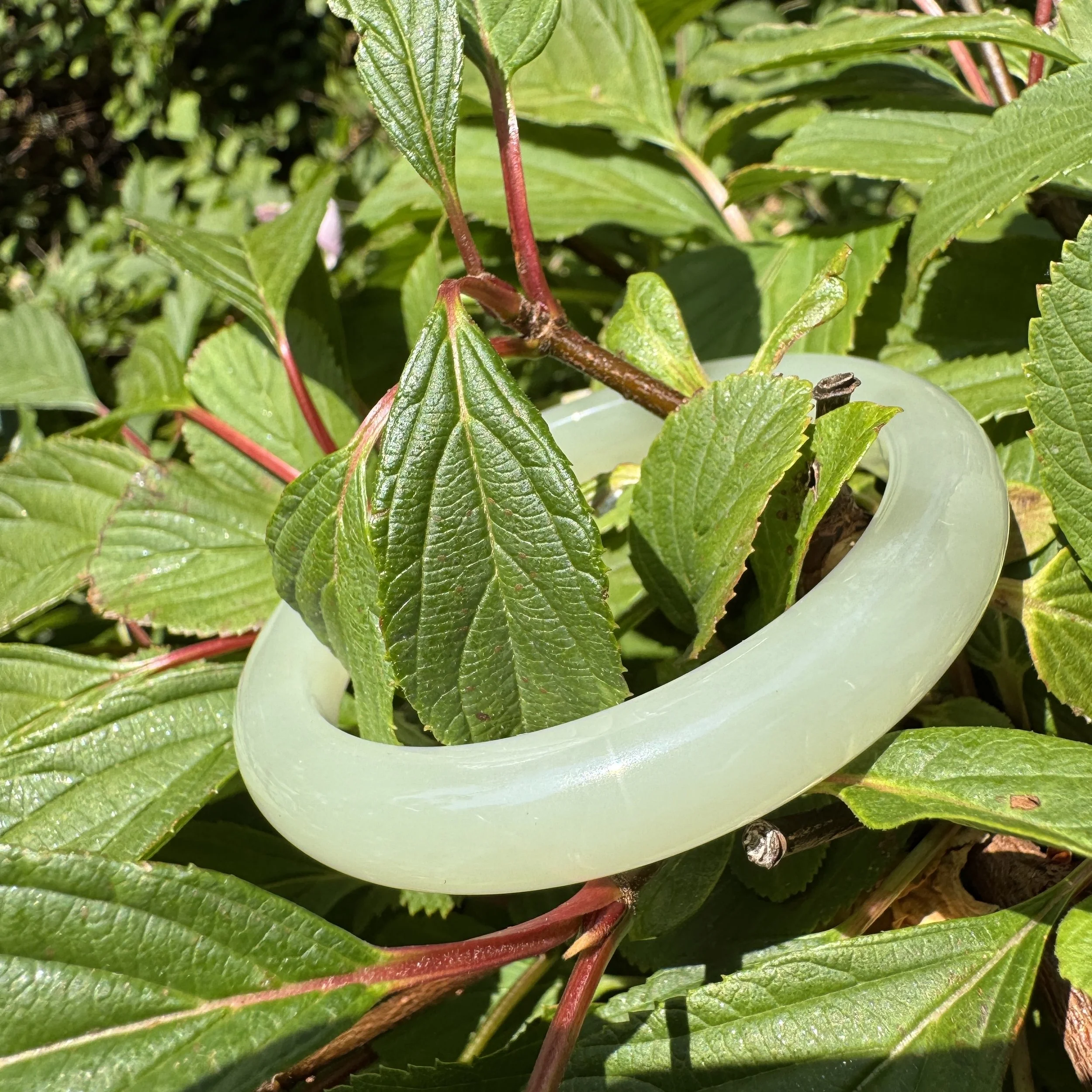 Xinjiang Hetian jade-jademastervancouver.com