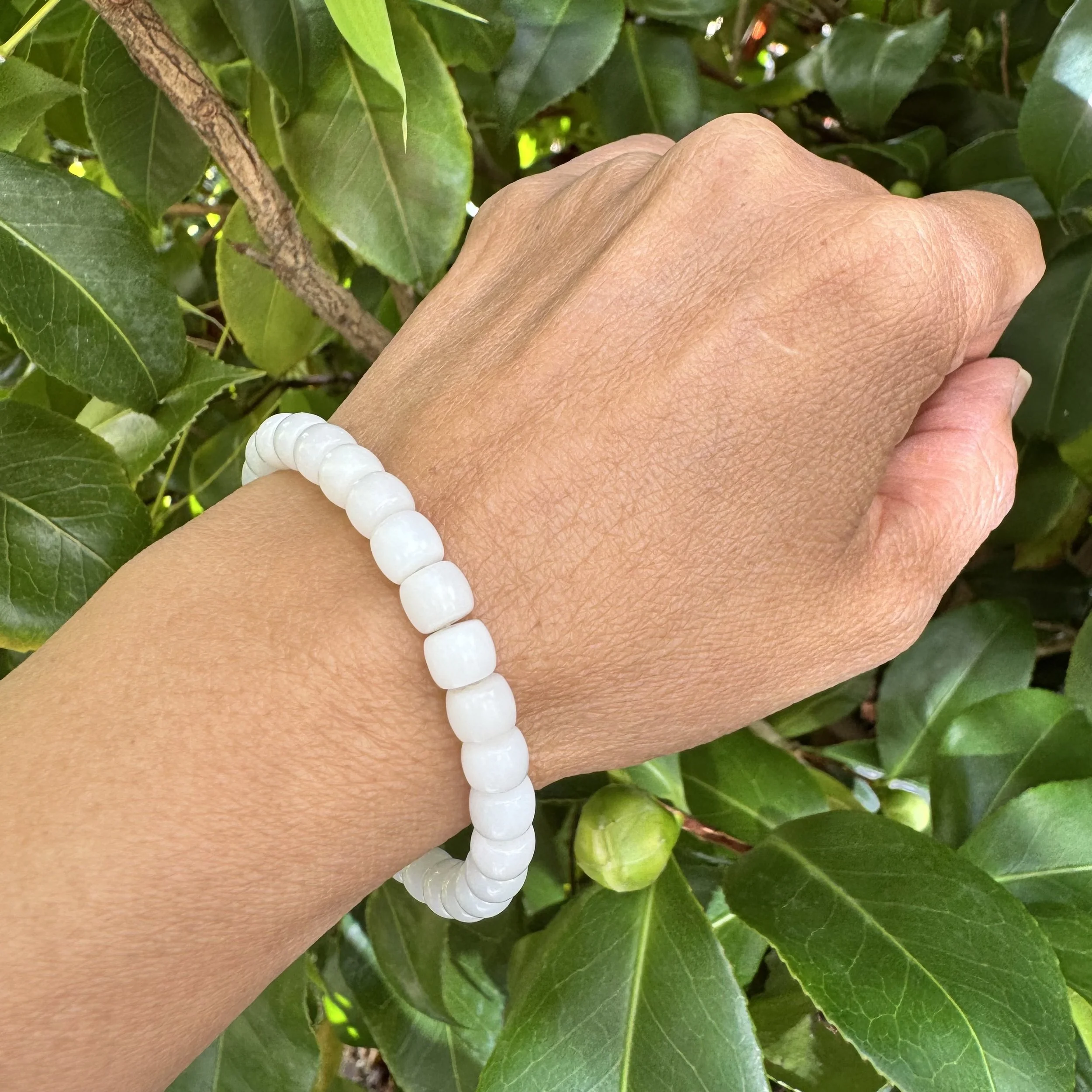 jademastervancouver.com