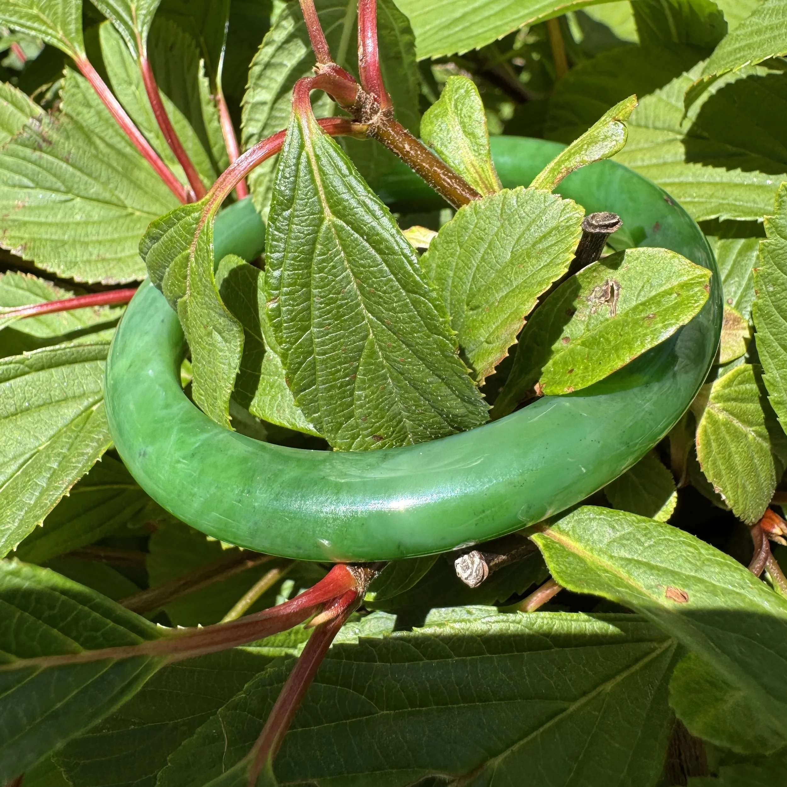 Siberian green nephrite jade- jademastervancouver.com