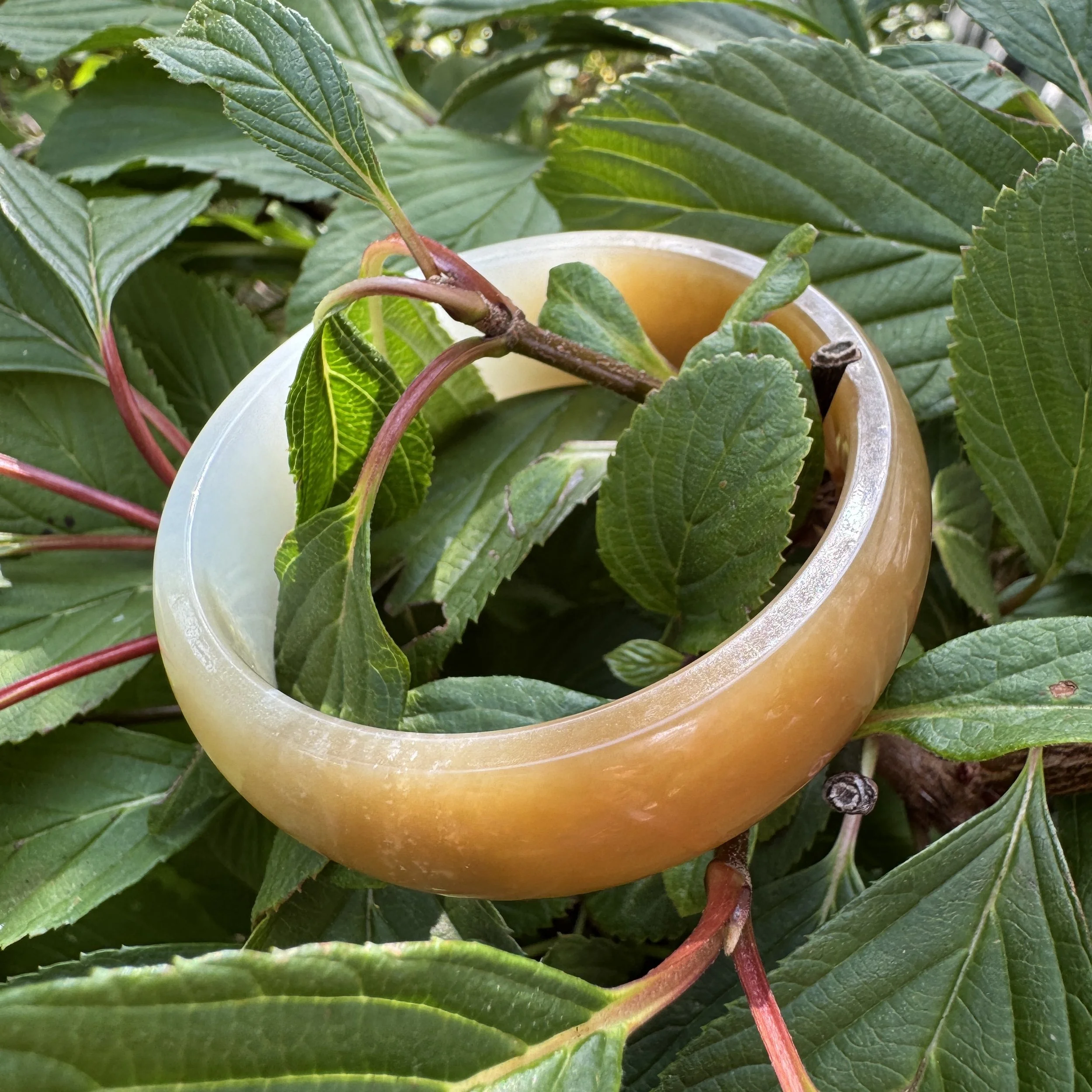 Sugar jade-jademastervancouver.com