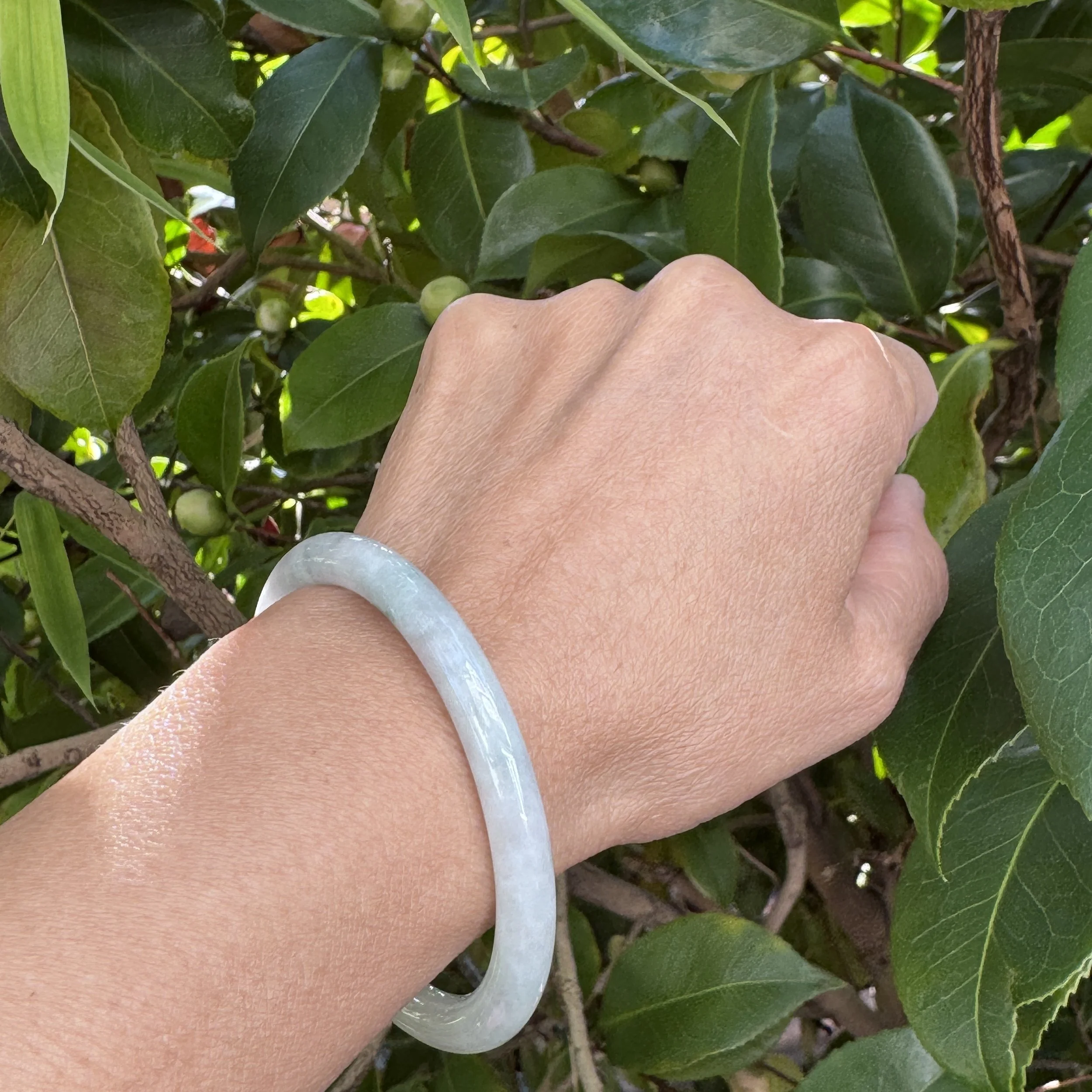 Jade bangle bracelet - Myanmar jadeite （55.5mm）