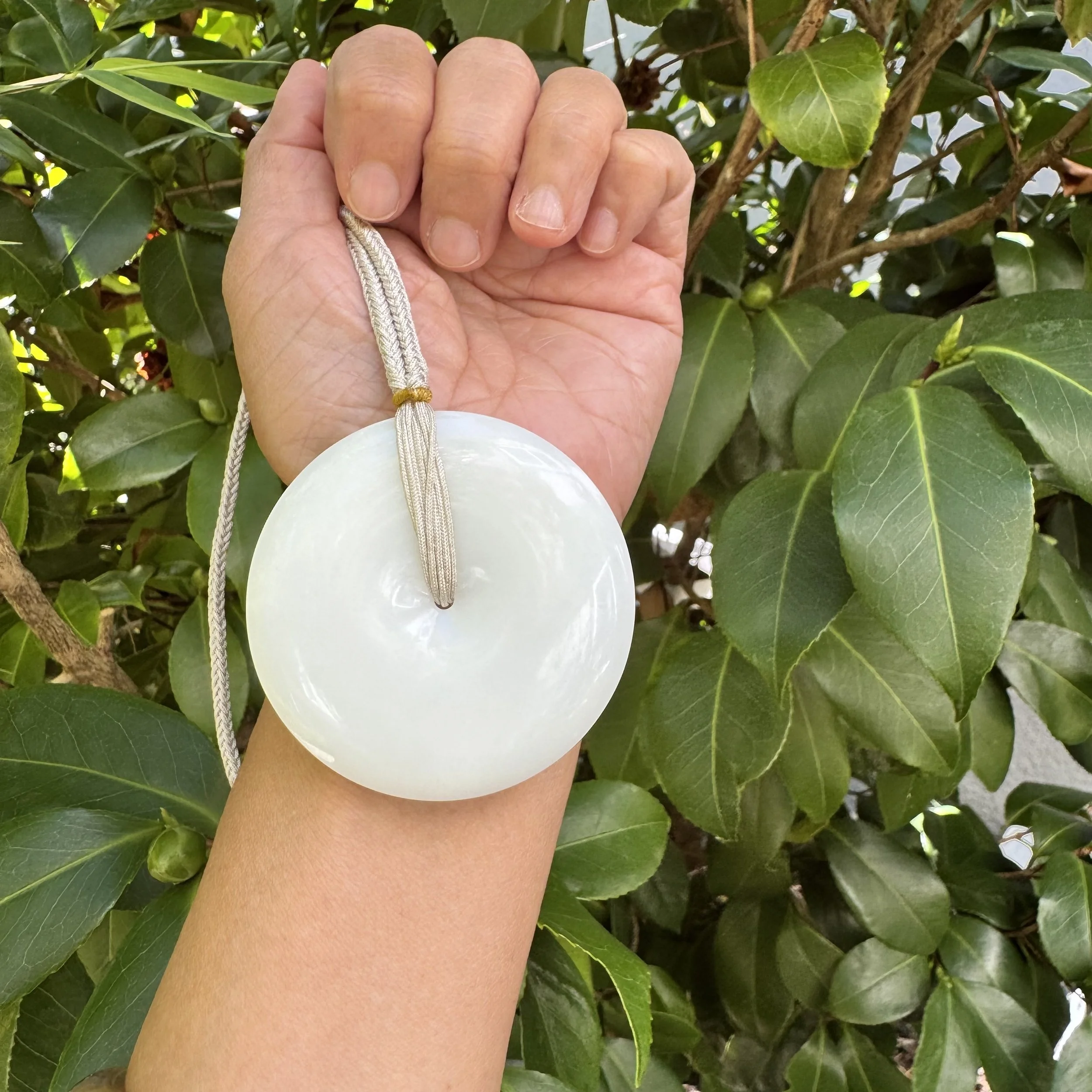 jademastervancouver.com