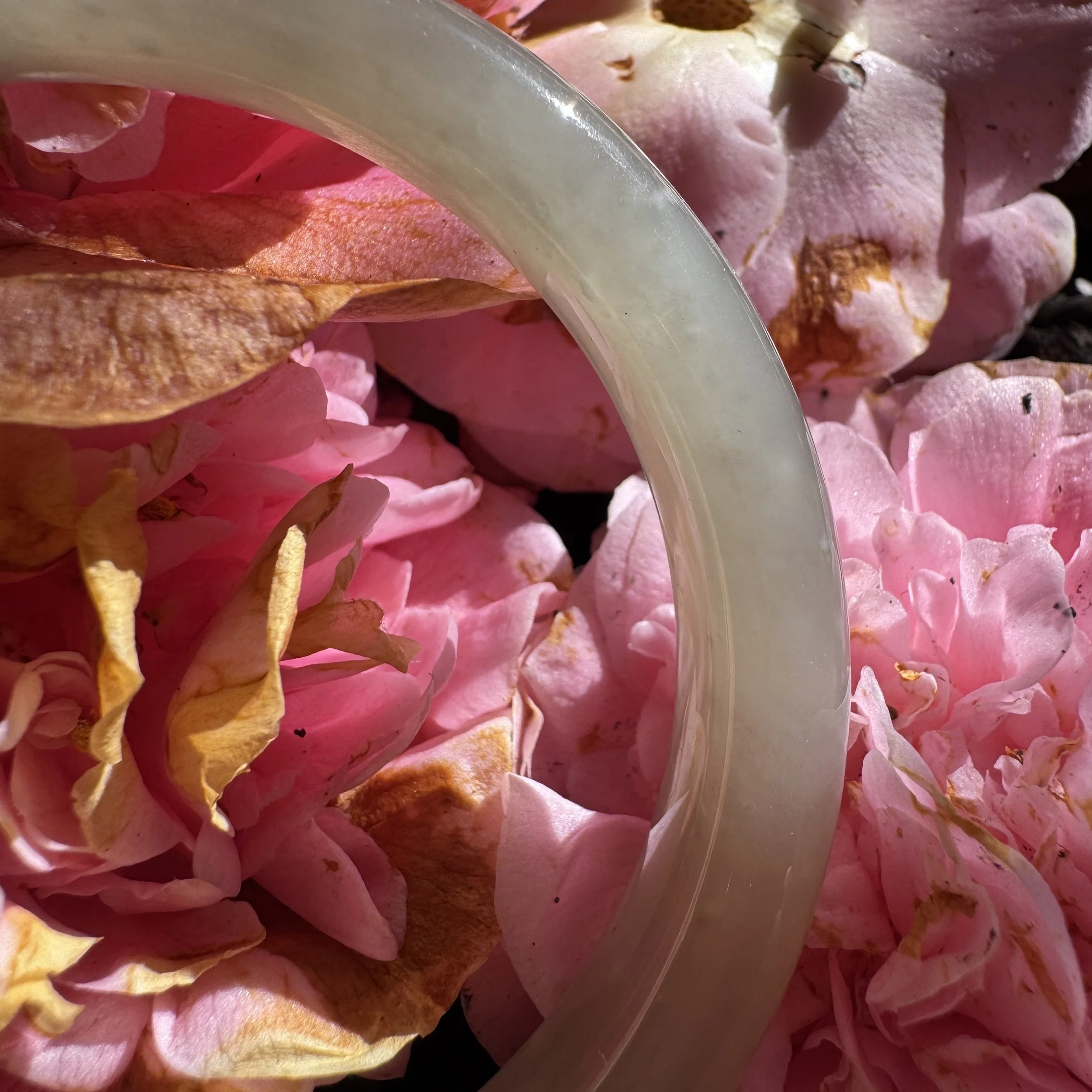 jademastervancouver.com