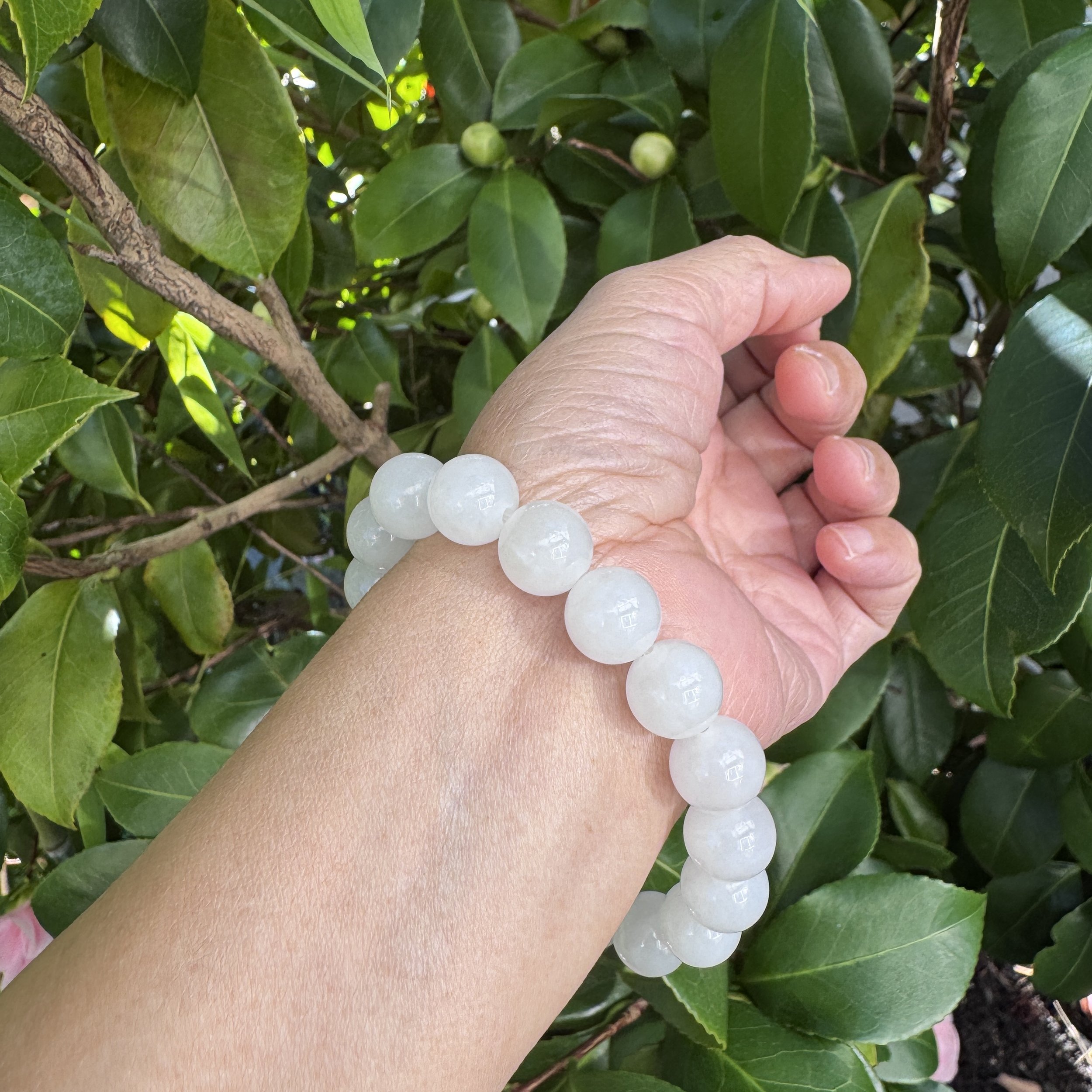 jademastervancouver.com