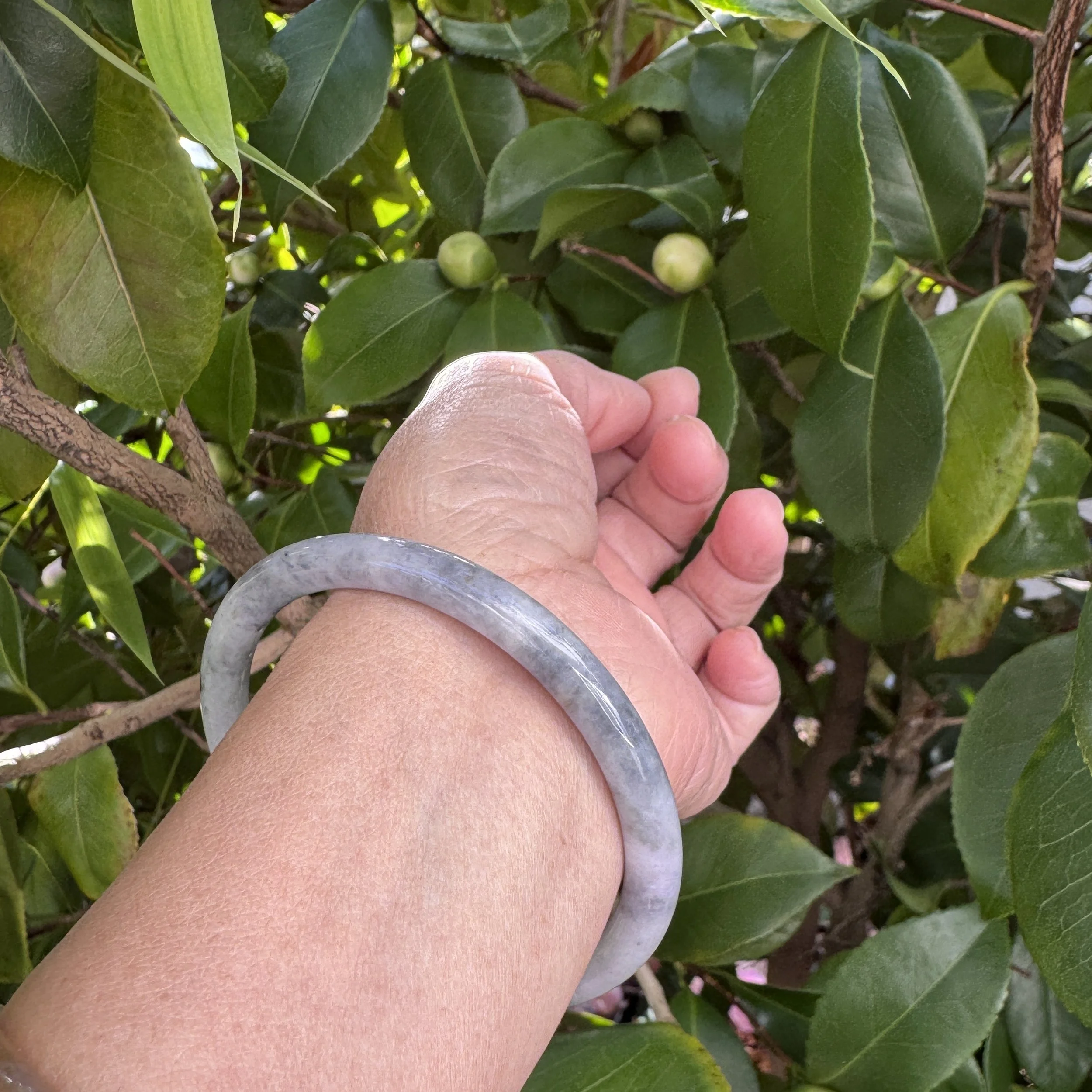 jademastervancouver.com